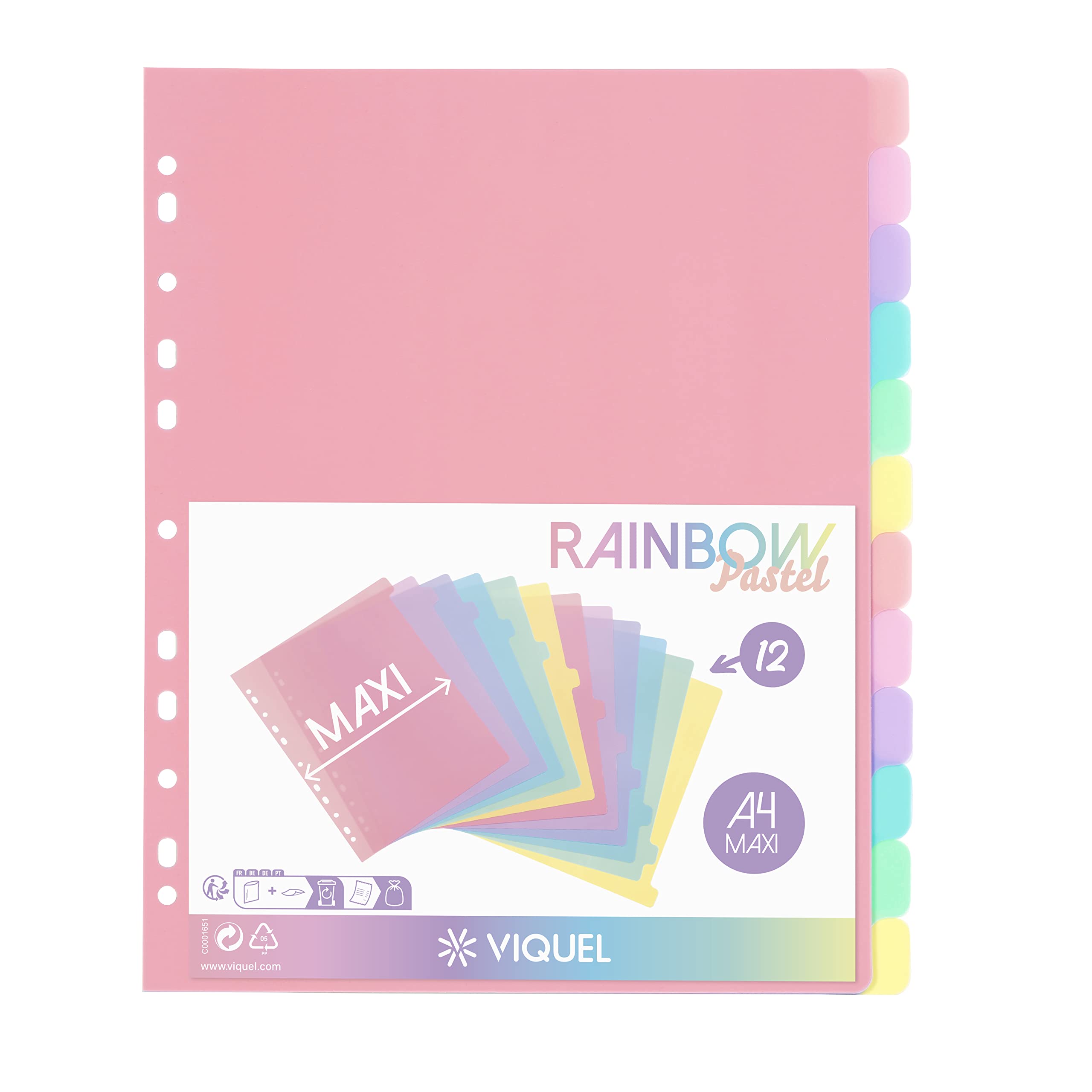 Viquel Plastic Binder Dividers - 12 Pack Rainbow Pastel Maxi Format for A4+ | Durable Polypropylene