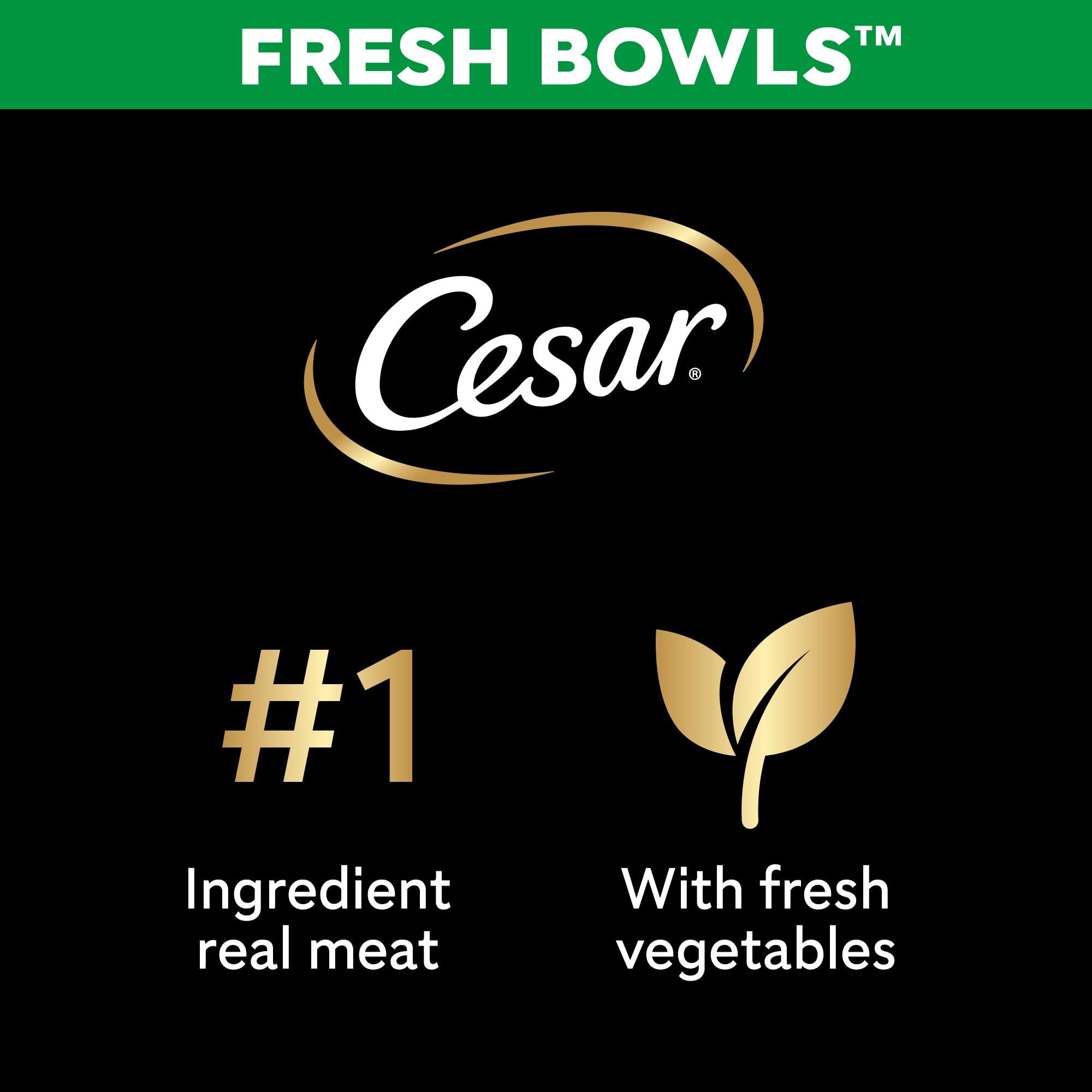 Cesar Fresh Bowl Adult Dog Food Pate with Duck, Red Rice & Vegetables | 85g Trays (Pack of 10)