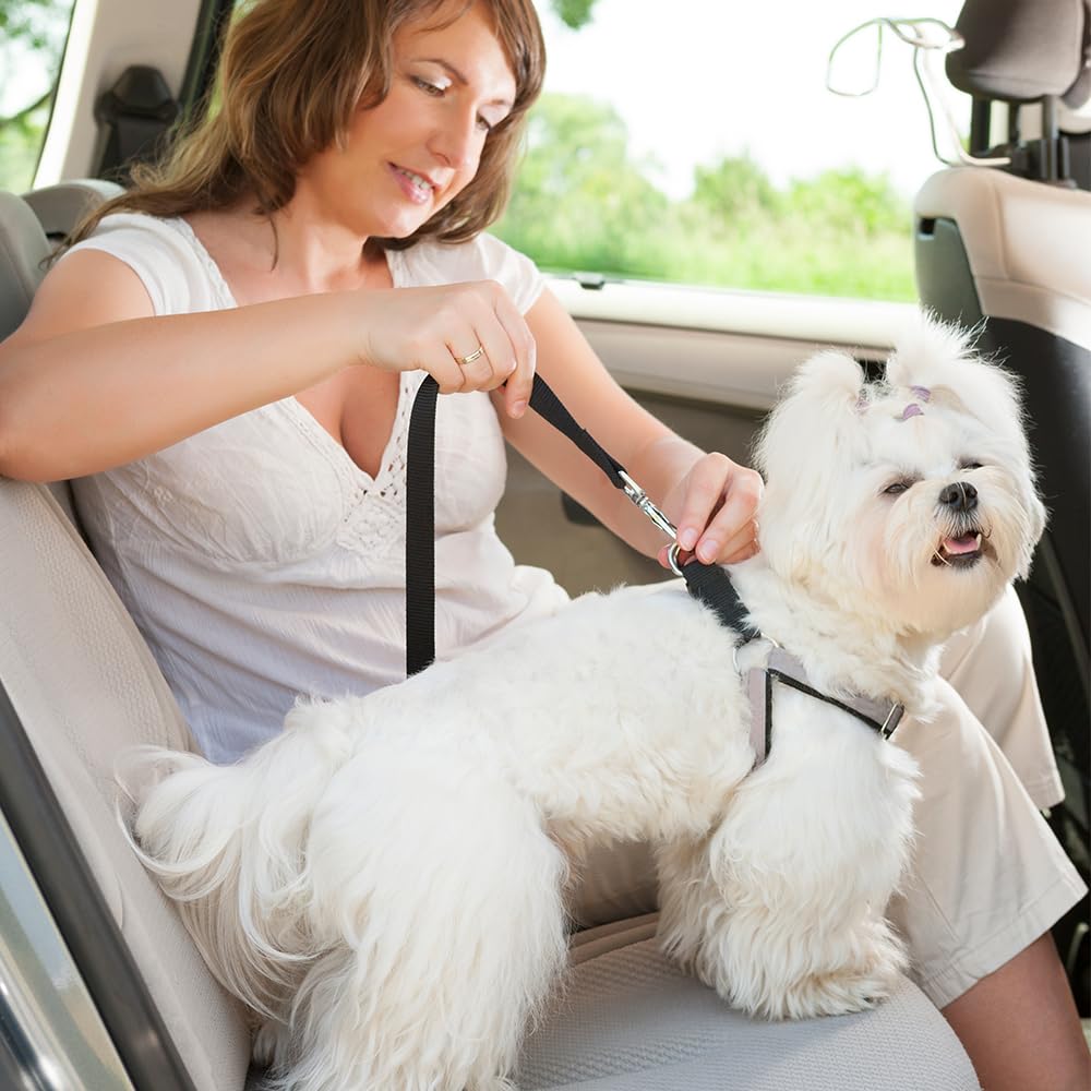 RAM ONLINE Dog Car Seat Belt Strap - 70CM Adjustable, Universal Fit, 2 Pack 4