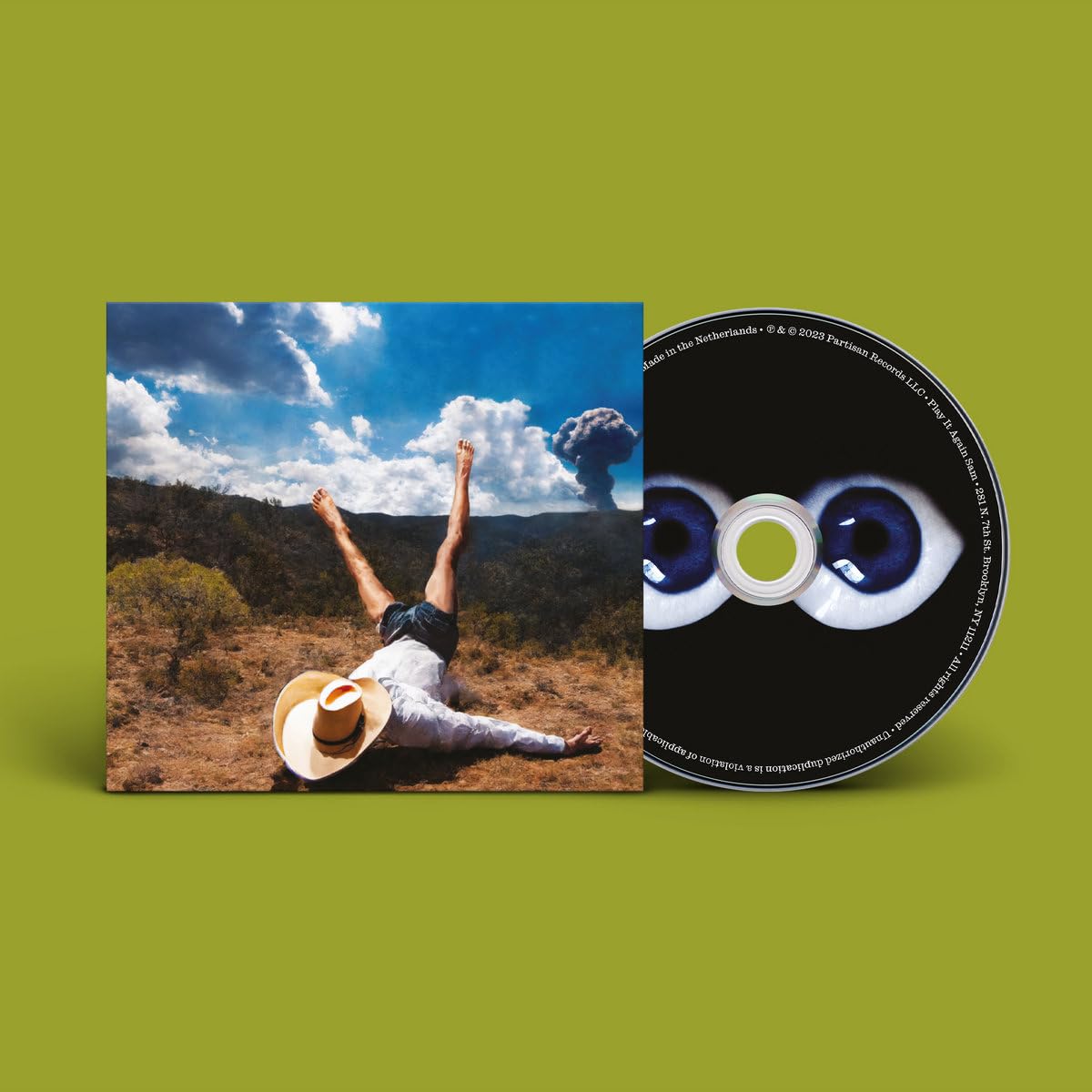 Geese - 3D Country Audio CD