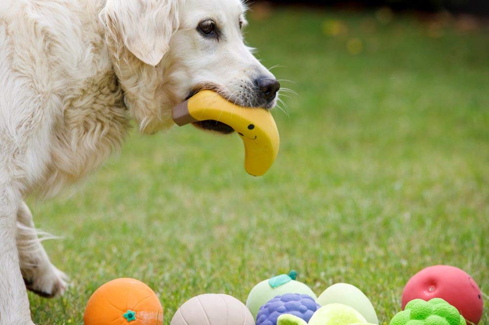 Petface Large Latex Banana Soft Chew Dog Toy | Durable | Squeaker Inside 6