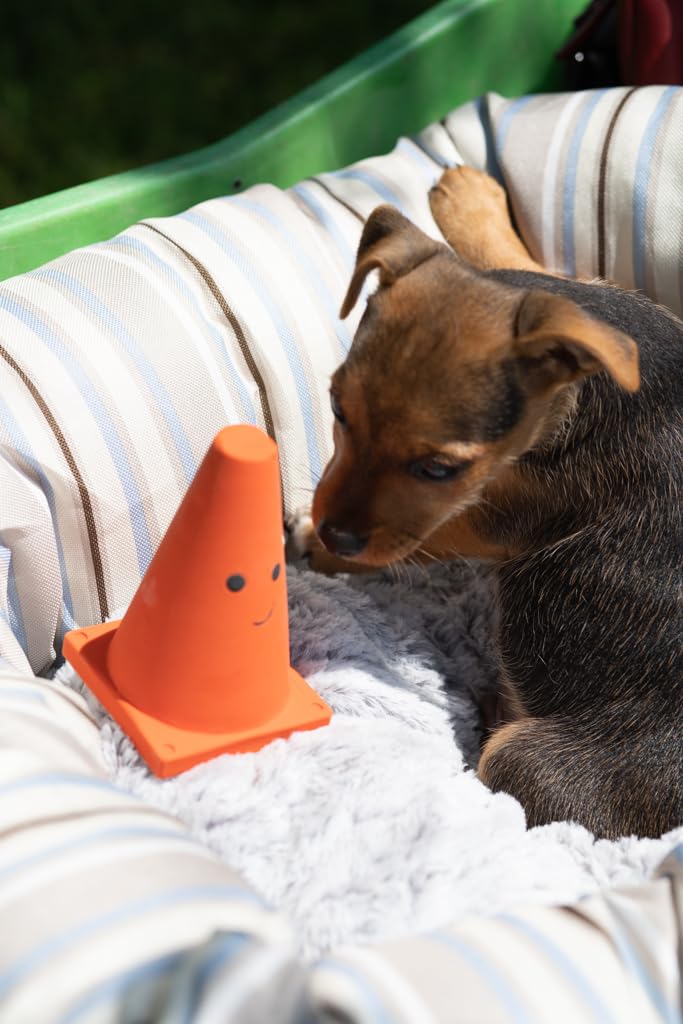 Petface Teri The Traffic Cone Latex Dog Chew Toy | Built-in Squeaker | Natural Rubber 7