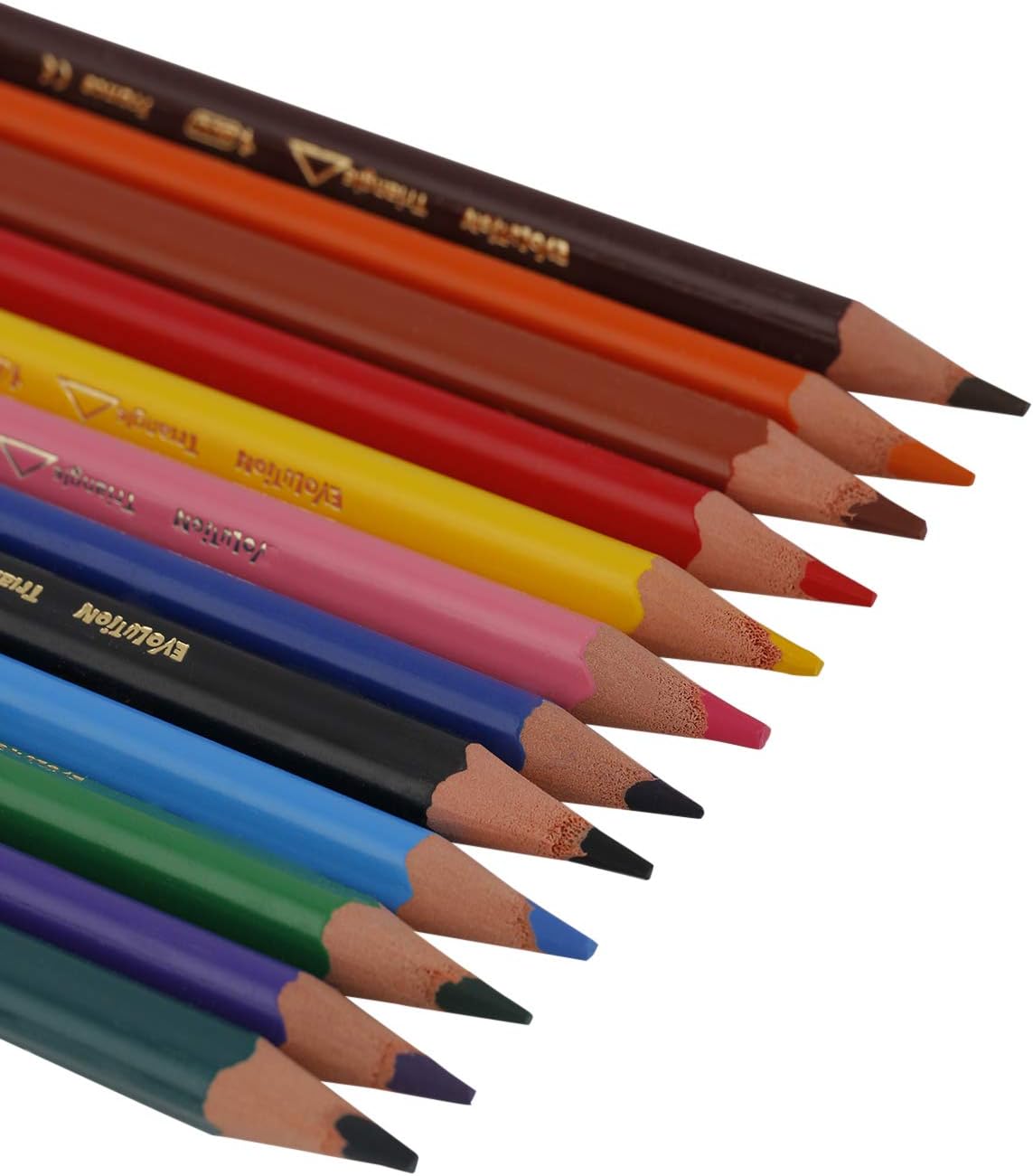 BIC Kids Evolution Triangle ECOlutions Colouring Pencils - 12-Pack for Kids 2+ 3