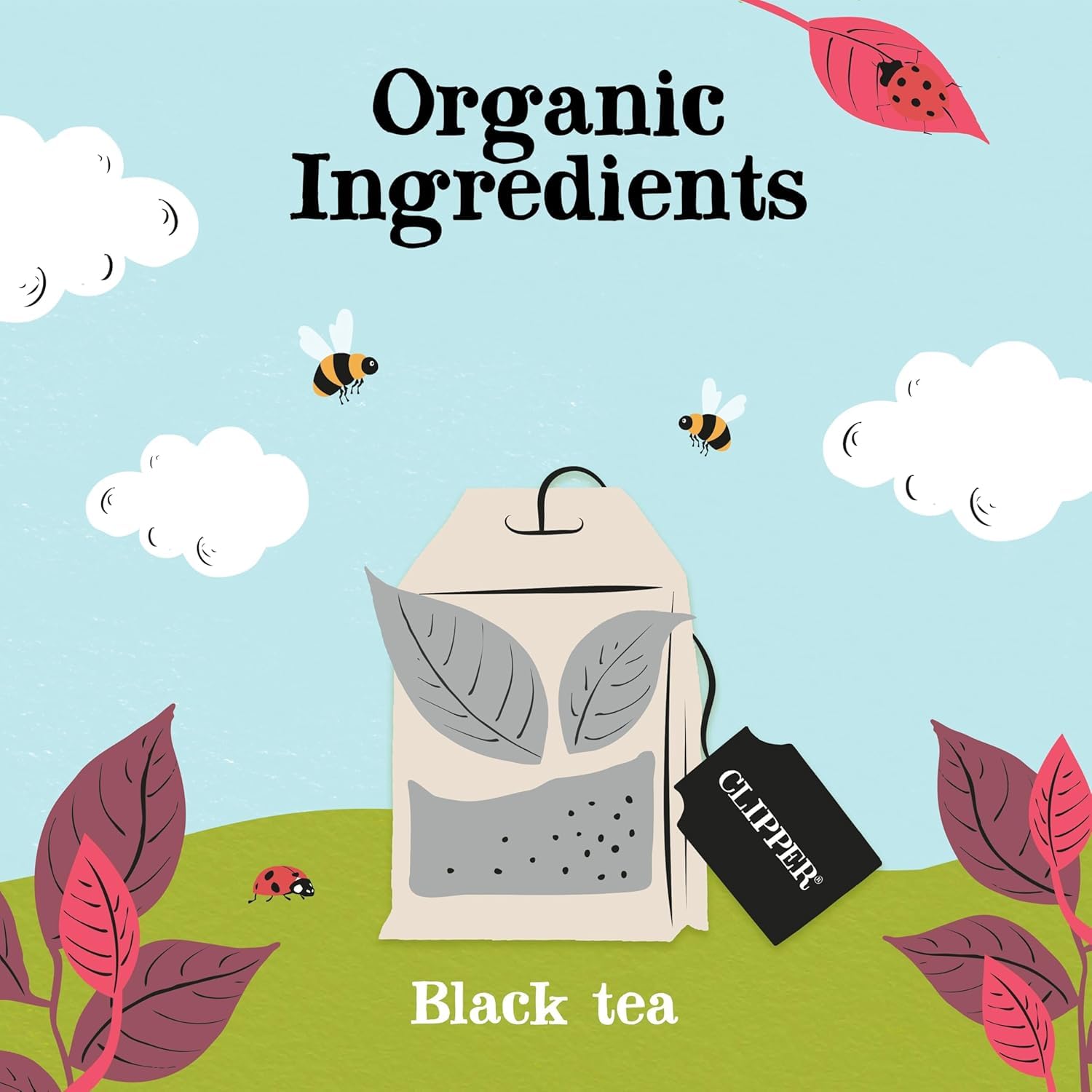 Clipper Fairtrade Organic English Breakfast Tea Bags - 80 Count | Black Tea | Plastic-Free 3