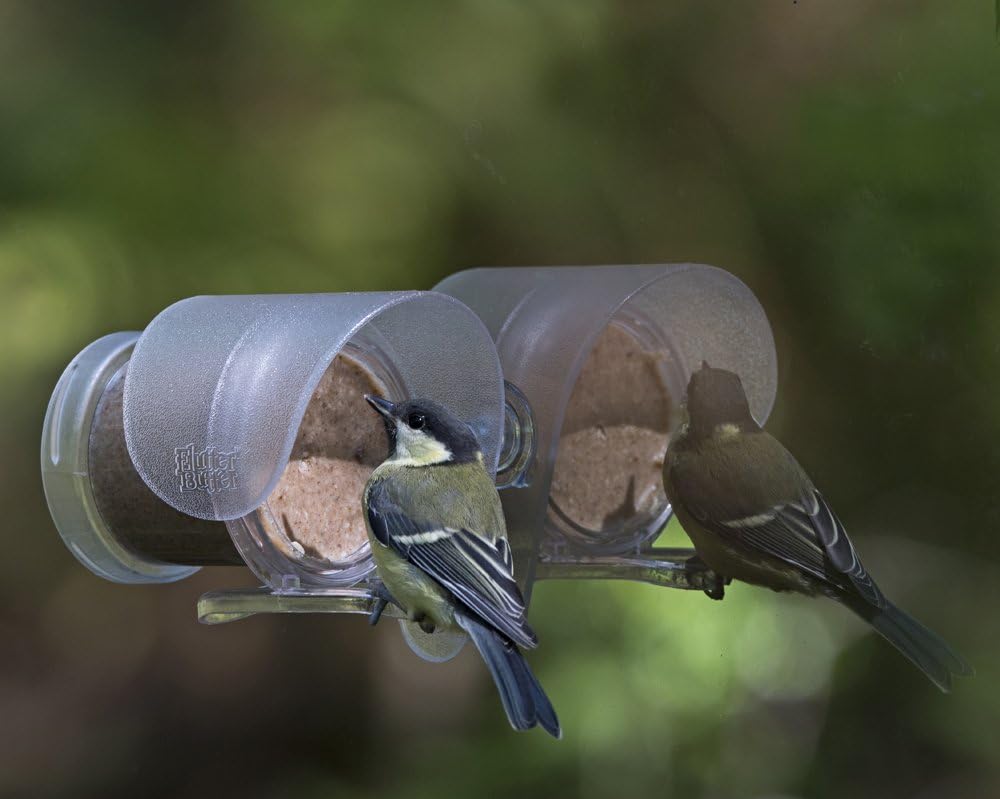 Jacobi Jayne FB-PB3 Flutter Butter Buggy Pods, 3er-Packung x 170 g 8