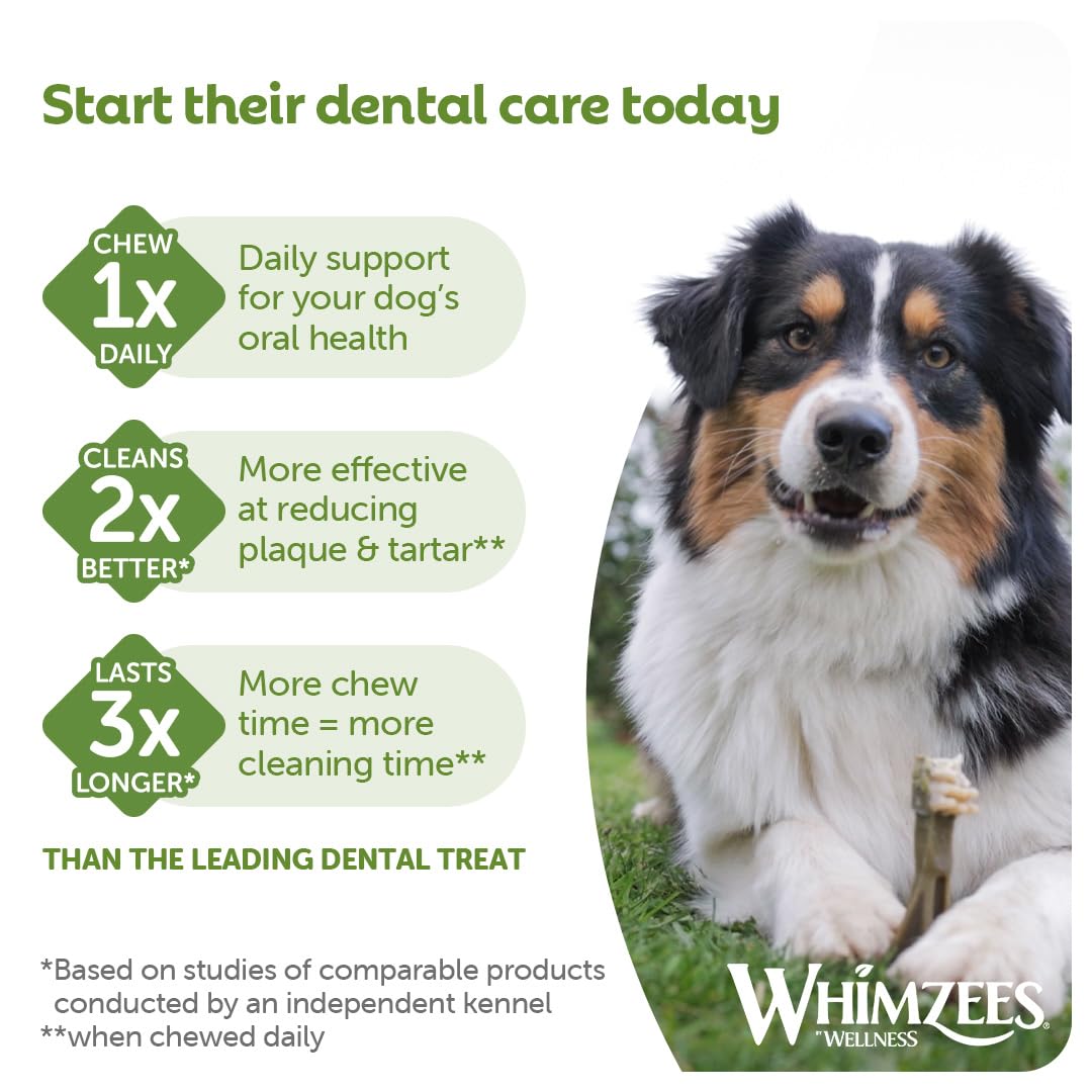 WHIMZEES Alligator Dental Sticks for Small Dogs (7-12kg) - 24 Count | Reduces Plaque by 80% | Vegetarian 5
