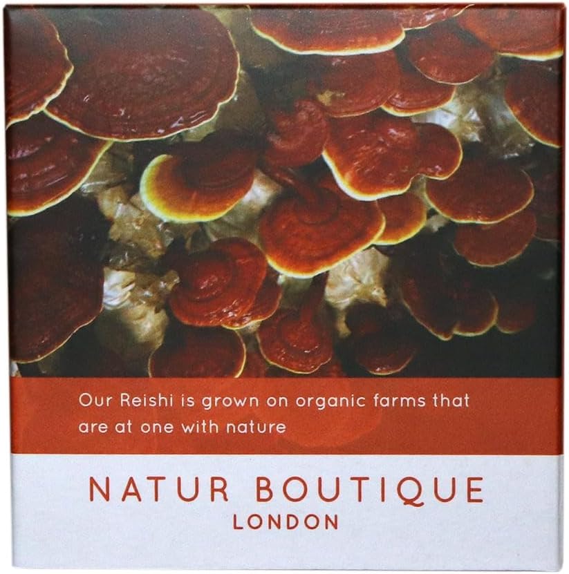 Natur Boutique Reishi Tea Sachets - 20 Count Herbal Tea with Reishi Mushroom, Star Anise, Licorice & Peppermint 3