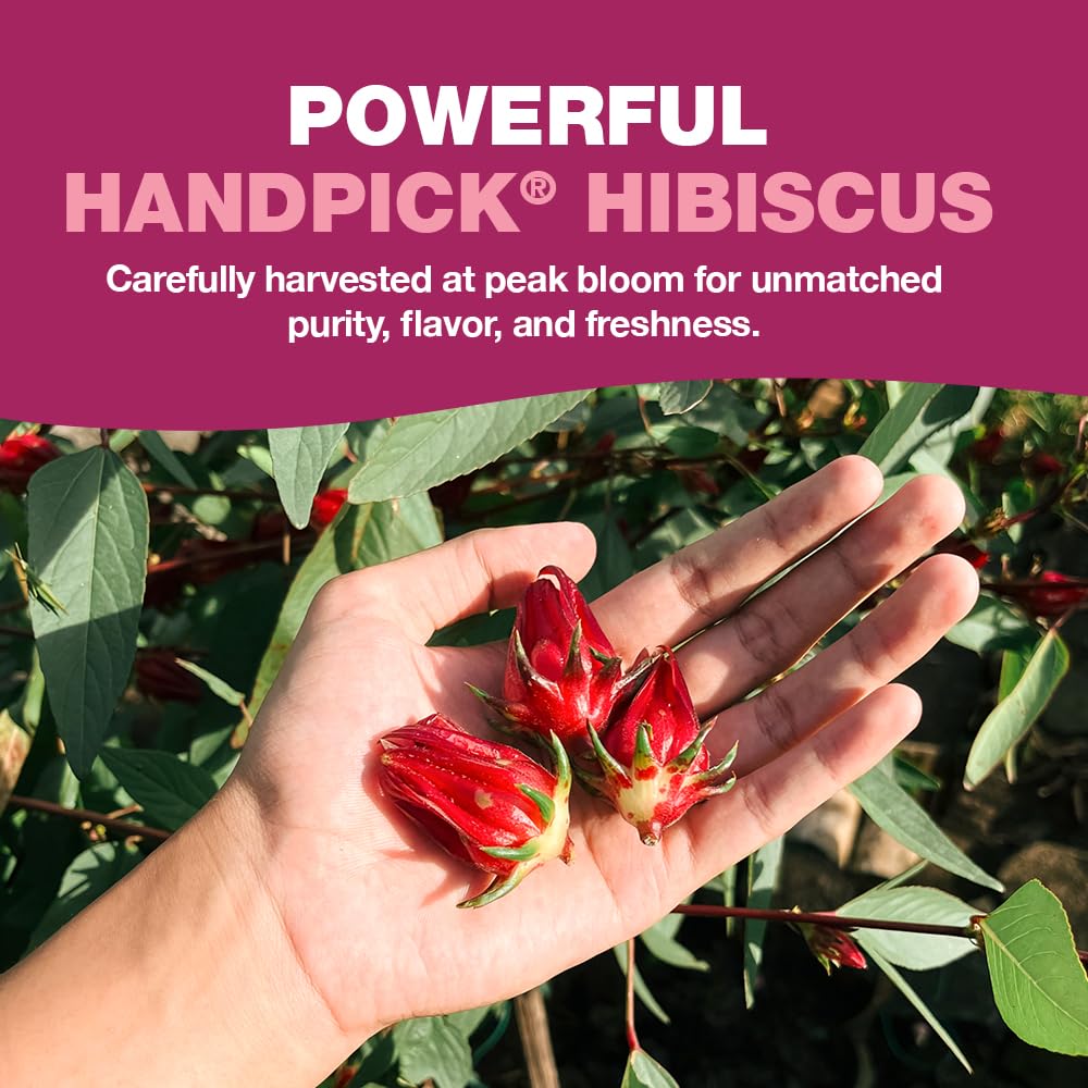 HANDPICK Hibiscus Tea Bags - 100 Count | 100% Pure Herbal Tea | Brew Hot or Iced | Carbon-Neutral & Plastic-Neutral 5