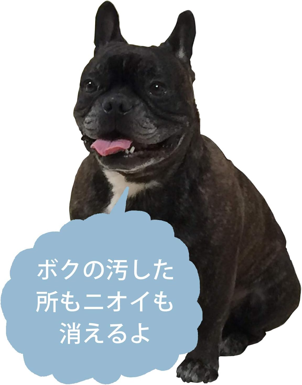 Dr. Beckmann Carpet Stain Remover with Applicator Brush - Removes New & Dried-in Stains 4