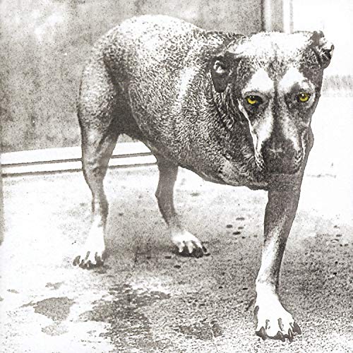 Alice In Chains - Alice In Chains [2LP Vinyl]