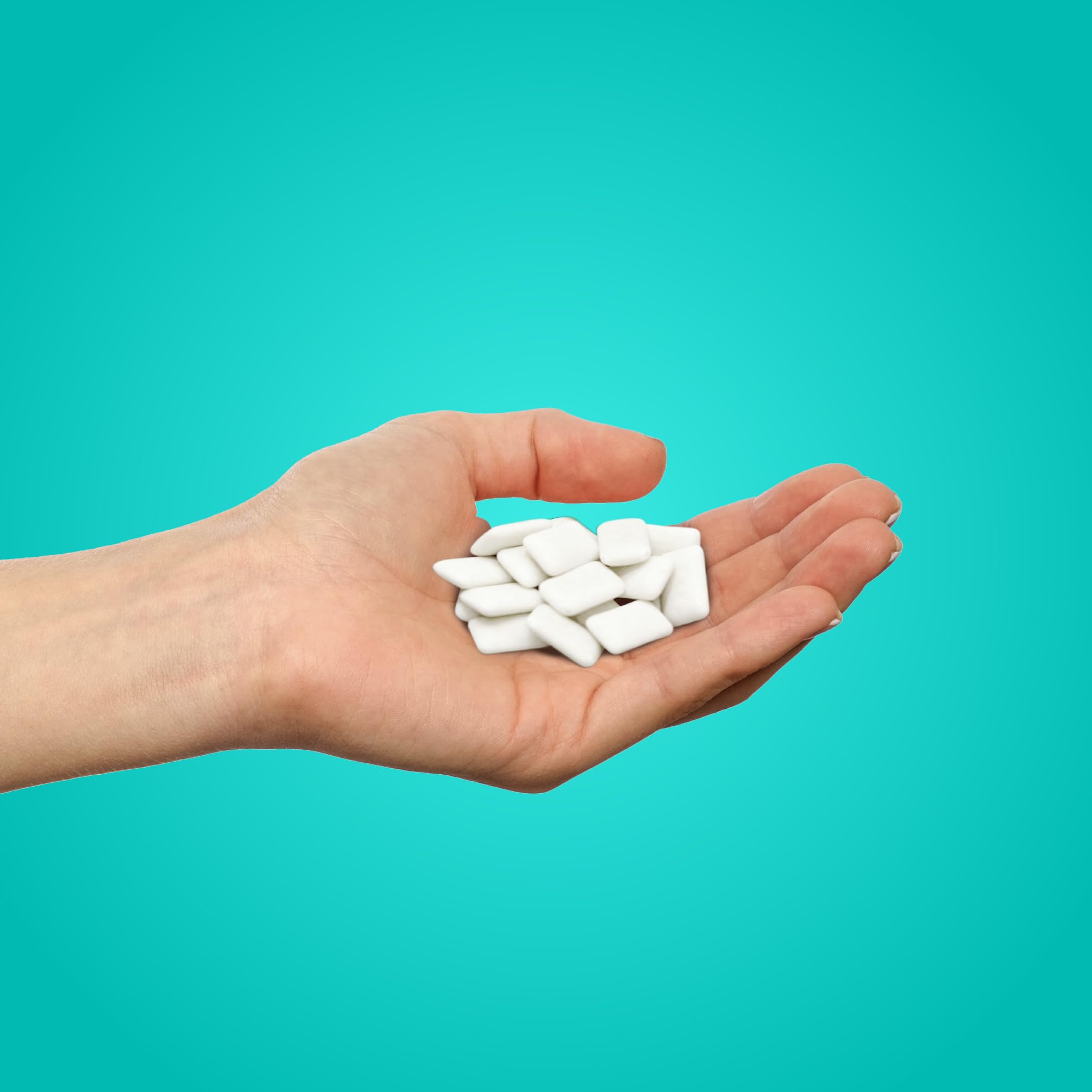 PUR - Natural Wintergreen Sugar-Free Chewing Gum (55 Pieces, Pack of 6) 3