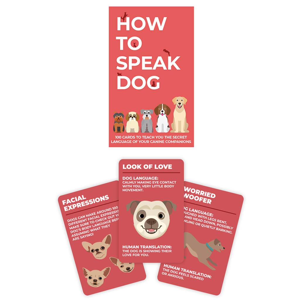 Gift Republic Dog Behaviour Cards - 100 Cards for Understanding Dog Language | Unisex Adult