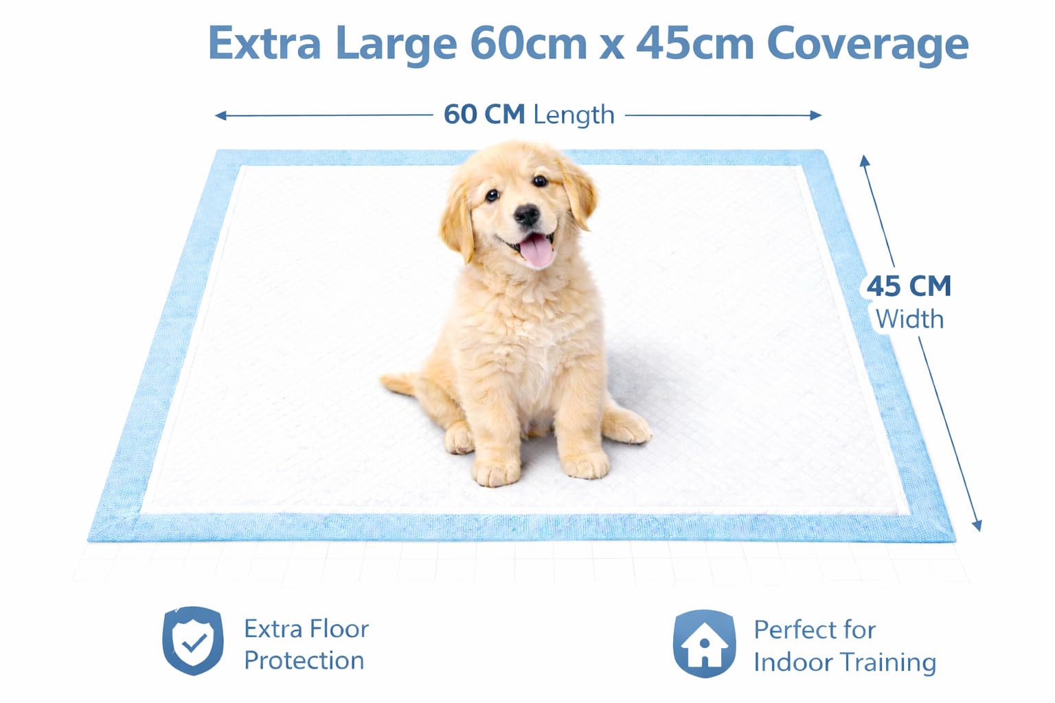 1ABOVE Heavy Duty Super Absorbent Training Pads | 60X45CM, 50 Count, Blue