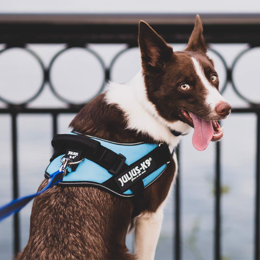 Julius-K9 IDC Powerharness - Vest Style Control Harness | Size L/1 (23-30 kg) | Black 3