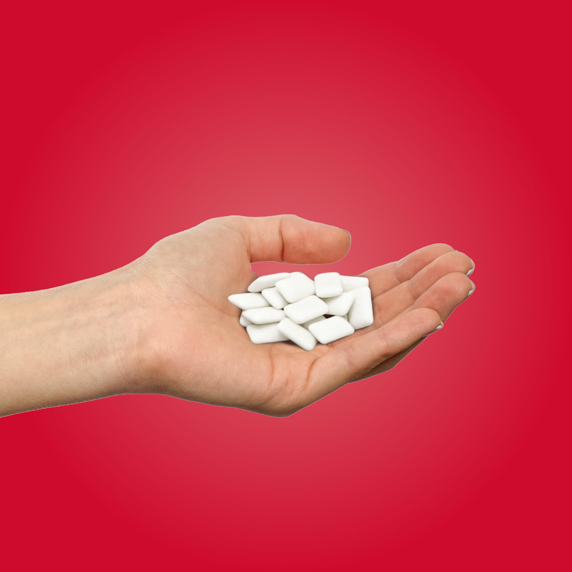 PUR - Natural Cinnamon Sugar-Free Chewing Gum (55 Pieces, Pack of 3)