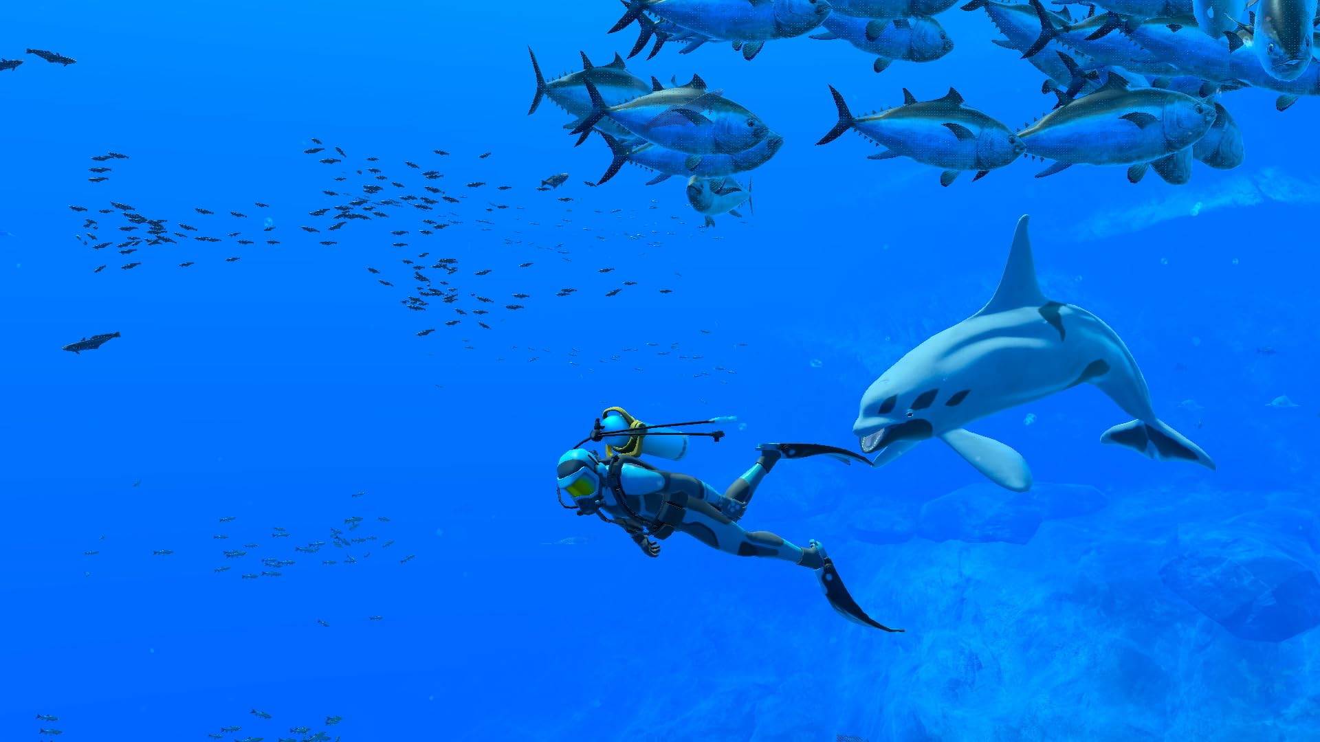 Endless Ocean Luminous - Nintendo Switch 11