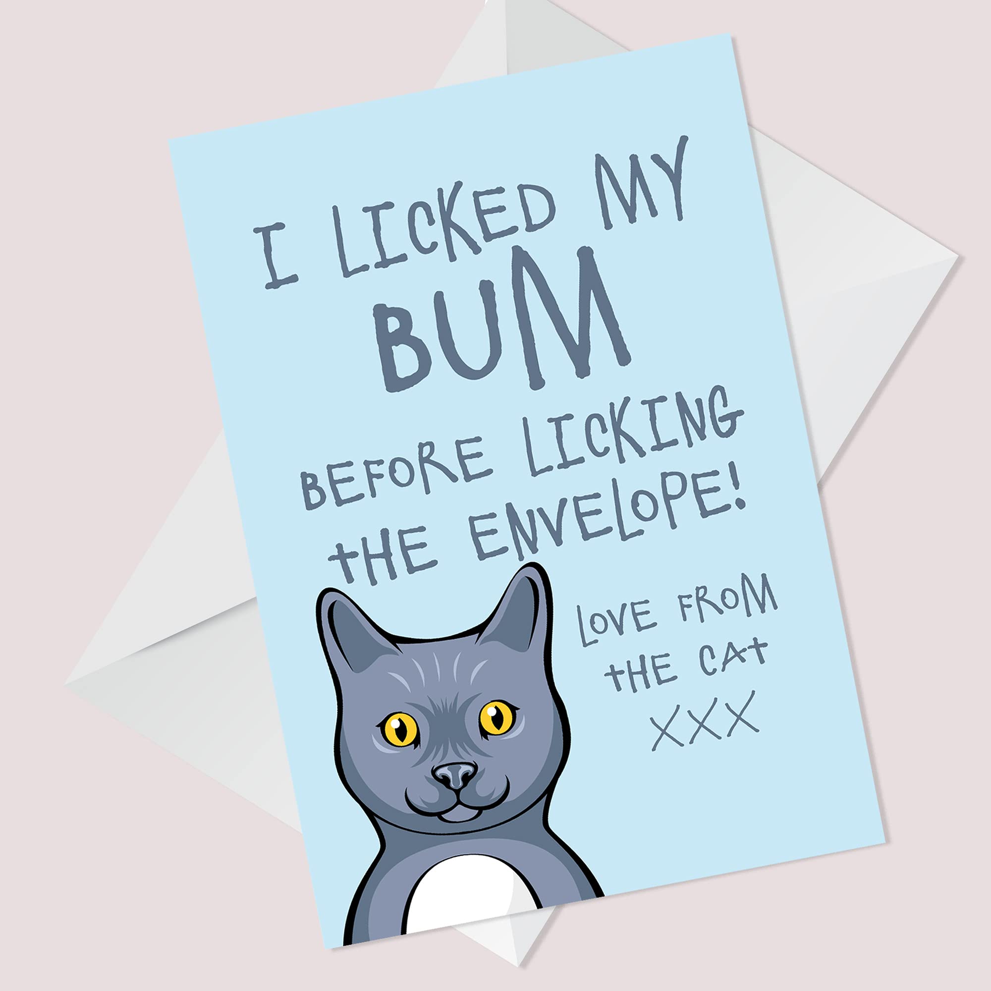 RED OCEAN Funny Cat Bum Birthday Card - A6 Size, 300gsm Card | Humorous Gift 6