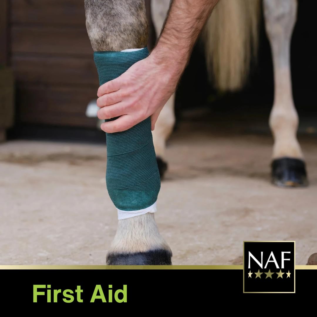 NAF NaturalintX Poultice Single - Veterinary-Approved Equine Wound Care | 49g 6