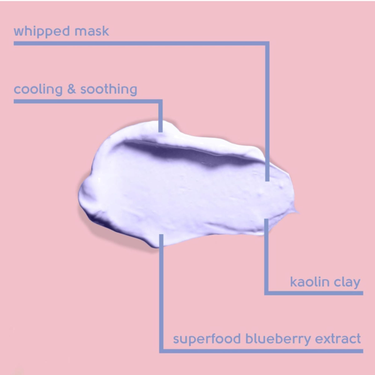 Face Facts Antioxidant Blueberry Kaolin Clay Face Mask - 60ml | Calming | Vegan Friendly