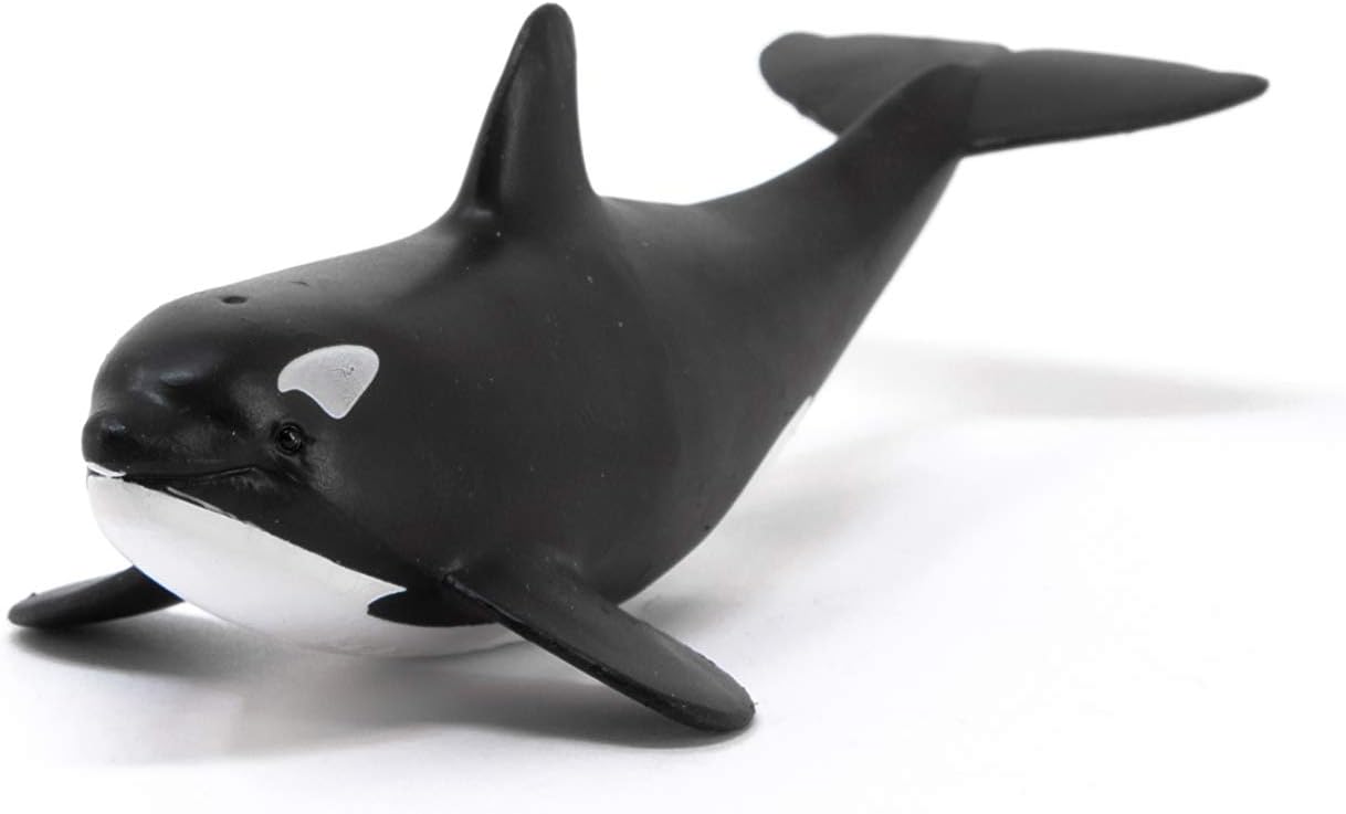Schleich 14836 Baby Orca Wild Life - Authentic Collectible Animal Figure for Kids 5