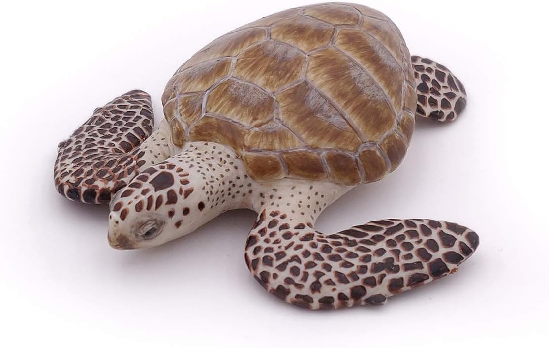 Papo 56005 Loggerhead Turtle Figure - Educational Marine Life Toy for Kids 3+ 6