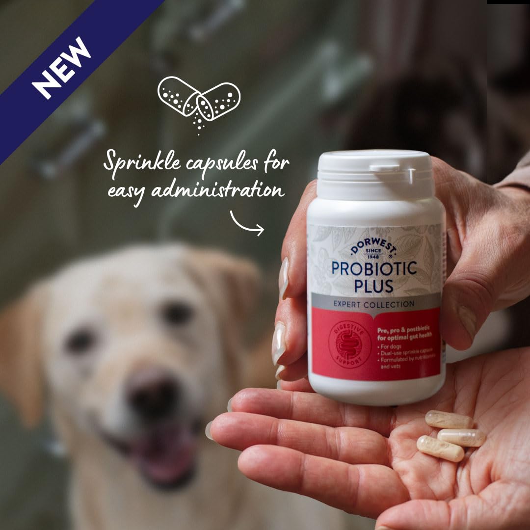 DORWEST HERBS Probiotic Plus for Dogs - Pre, Pro & Postbiotic Support | 200 Capsules 5