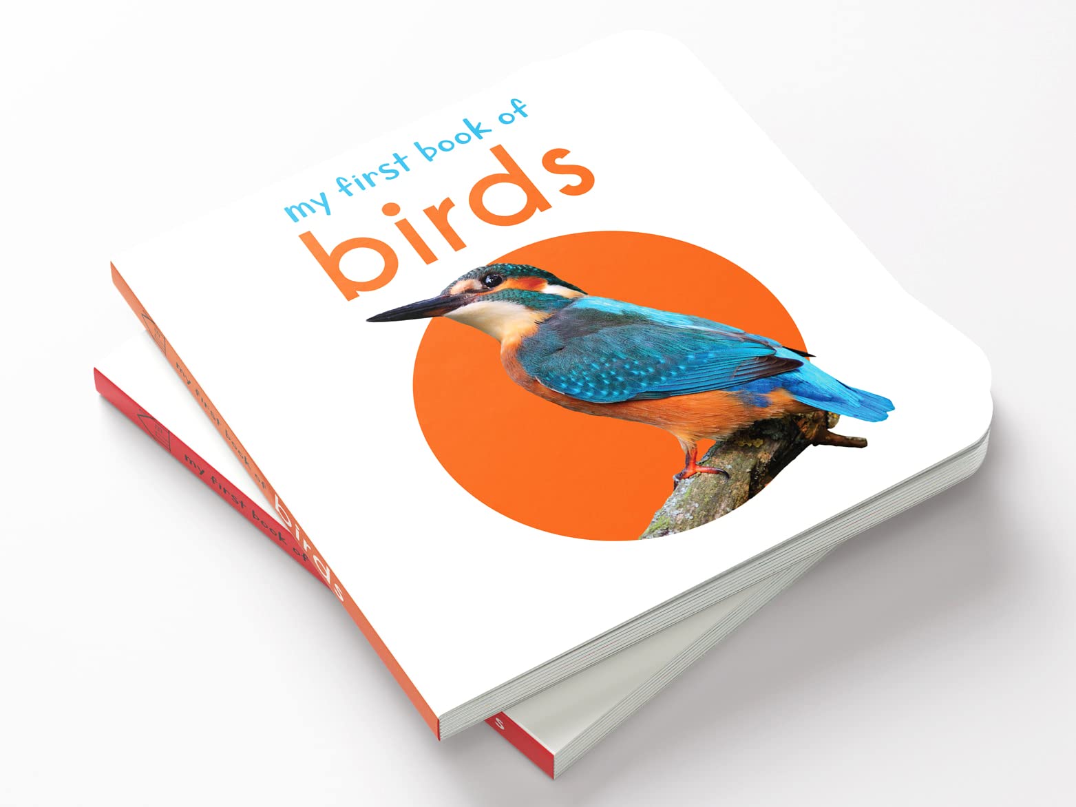 Wonder House My First Book Of Birds - First Board Book for Early Learning | English Language 4