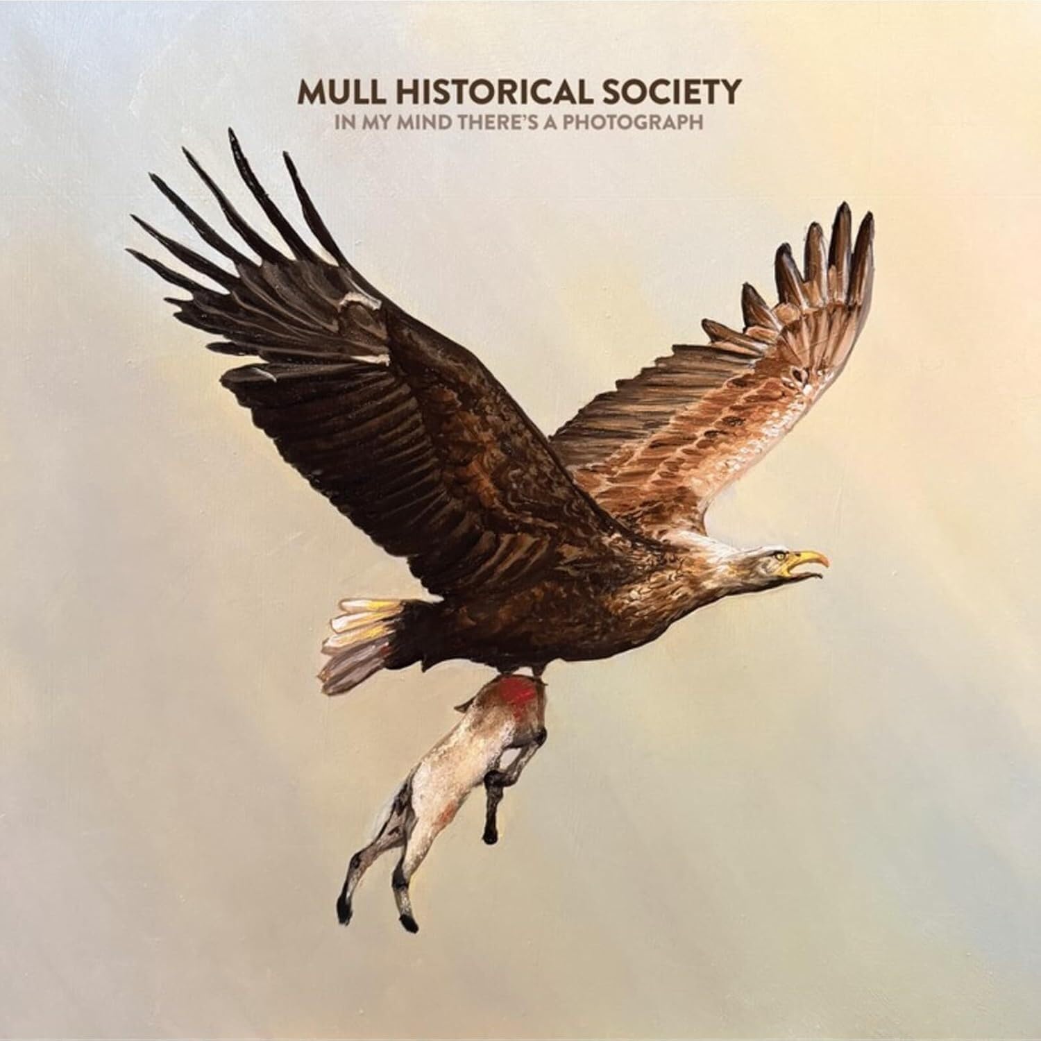 Mull Historical Society - In My Mind There's A Photograph [Vinyl]