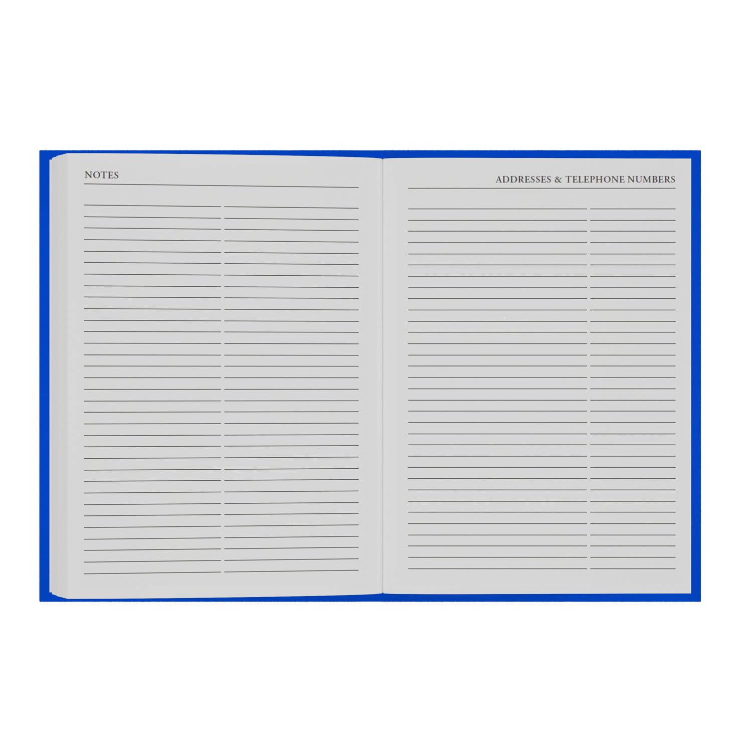 Collins 2026-2027 Essential A5 Day-to-Page Appointment Book | 13 Month Academic Planner | Purple Hardcover 3