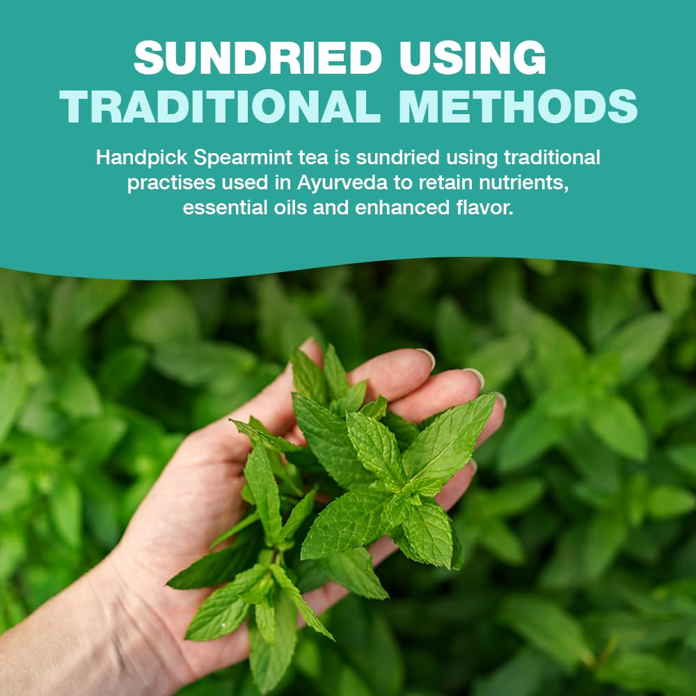 HANDPICK Spearmint Tea Bags (100 Count) Non-GMO, 100% Pure Spearmint Leaf, Tea Board of India Certified 9