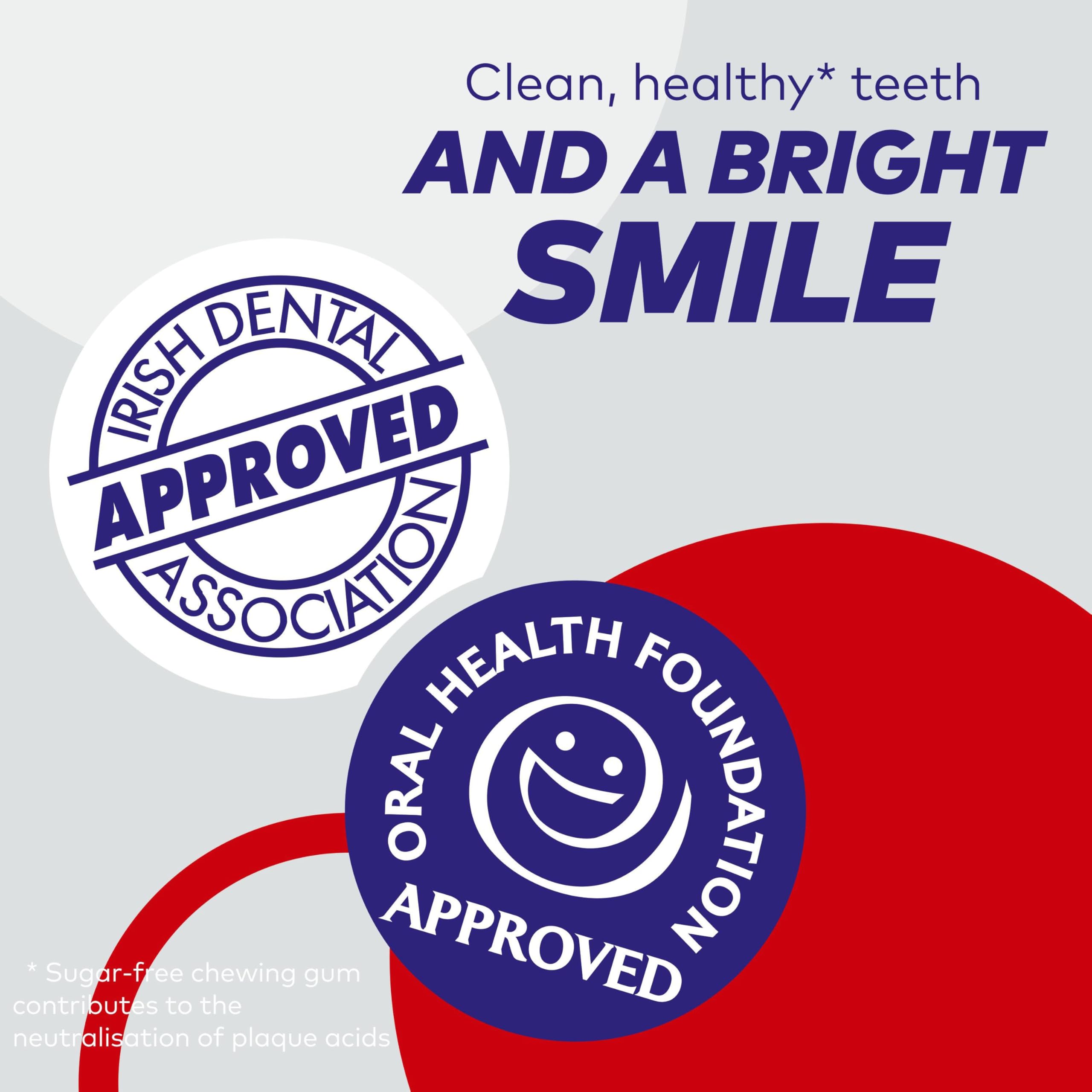 Extra - Weißer Kaugummi zuckerfrei mit Xylitol, klassischer Minzgeschmack, 6 Flaschen (276 Stück) 4