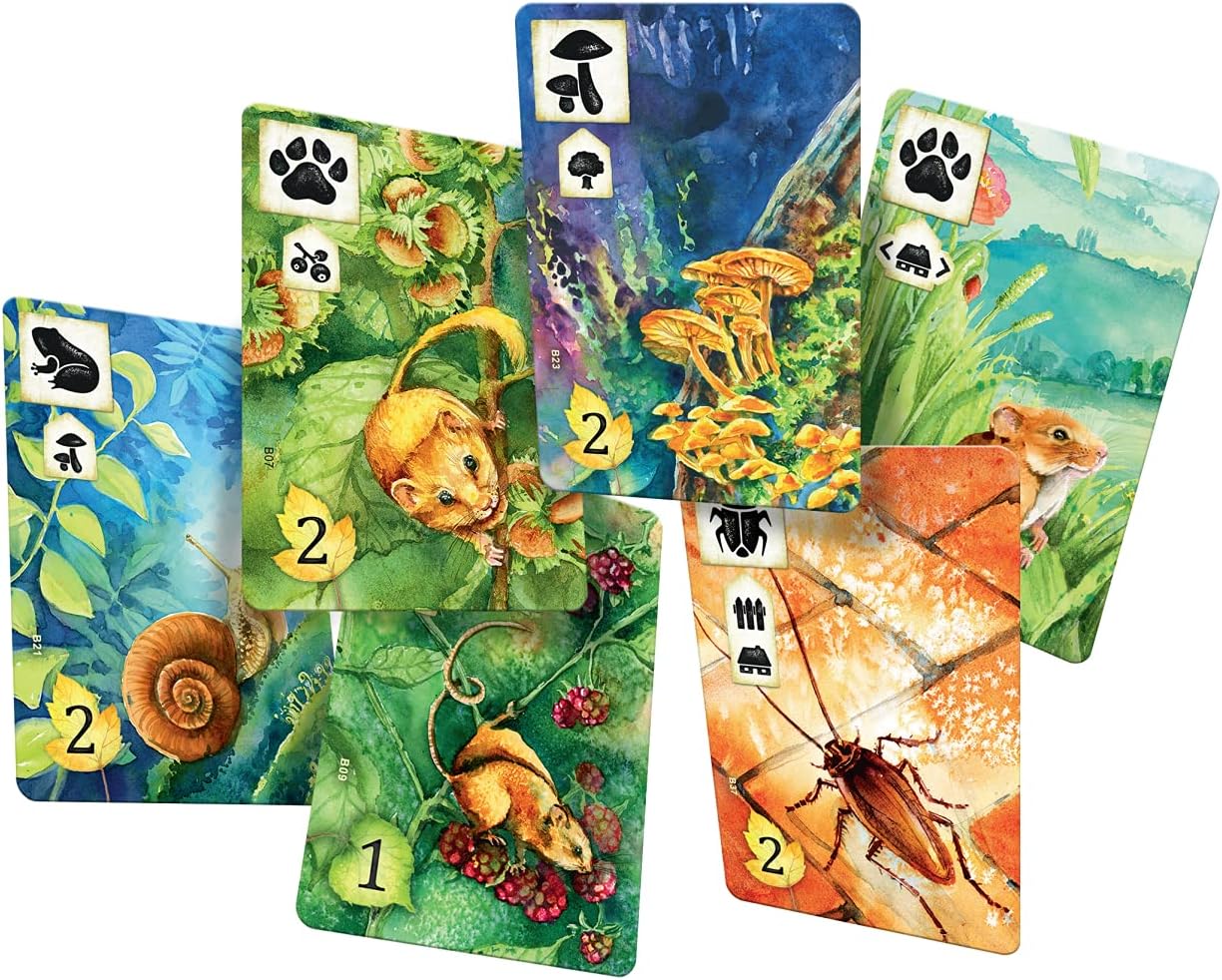 Rebel Centrum Meadow Board Game 4