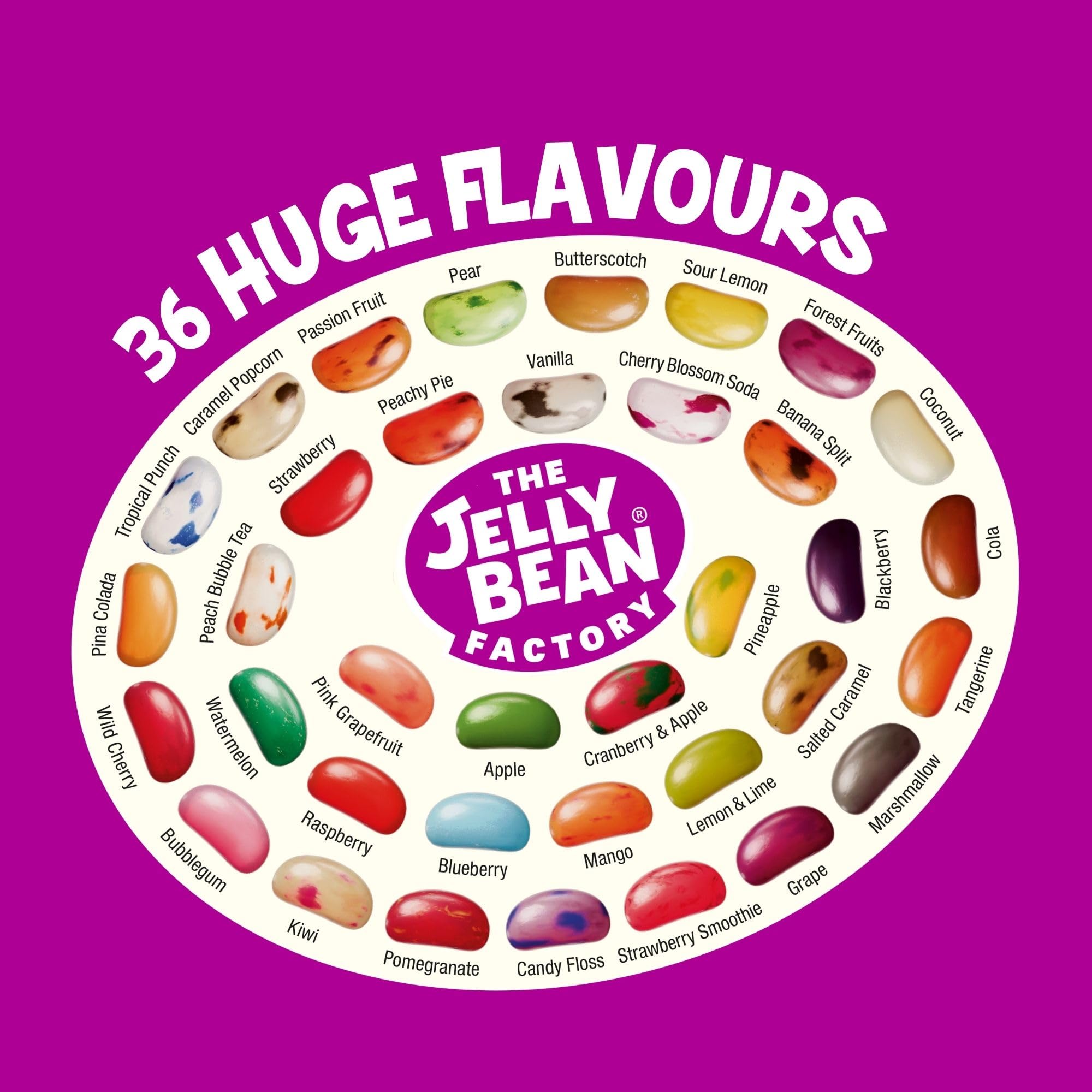 The Jelly Bean Factory 36 riesige Geschmacksrichtungen, 700-g-Glas – Gourmet-Jelly-Beans-Geschenk 14