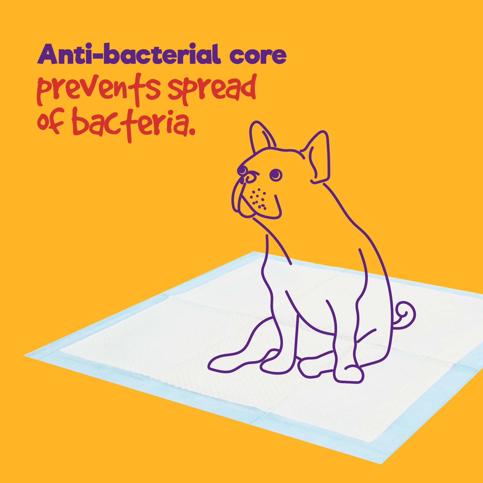 Petlicity Disposable Training Pads, Small (45x60cm), 50 Pack - Highly Absorbent Puppy Pads 7