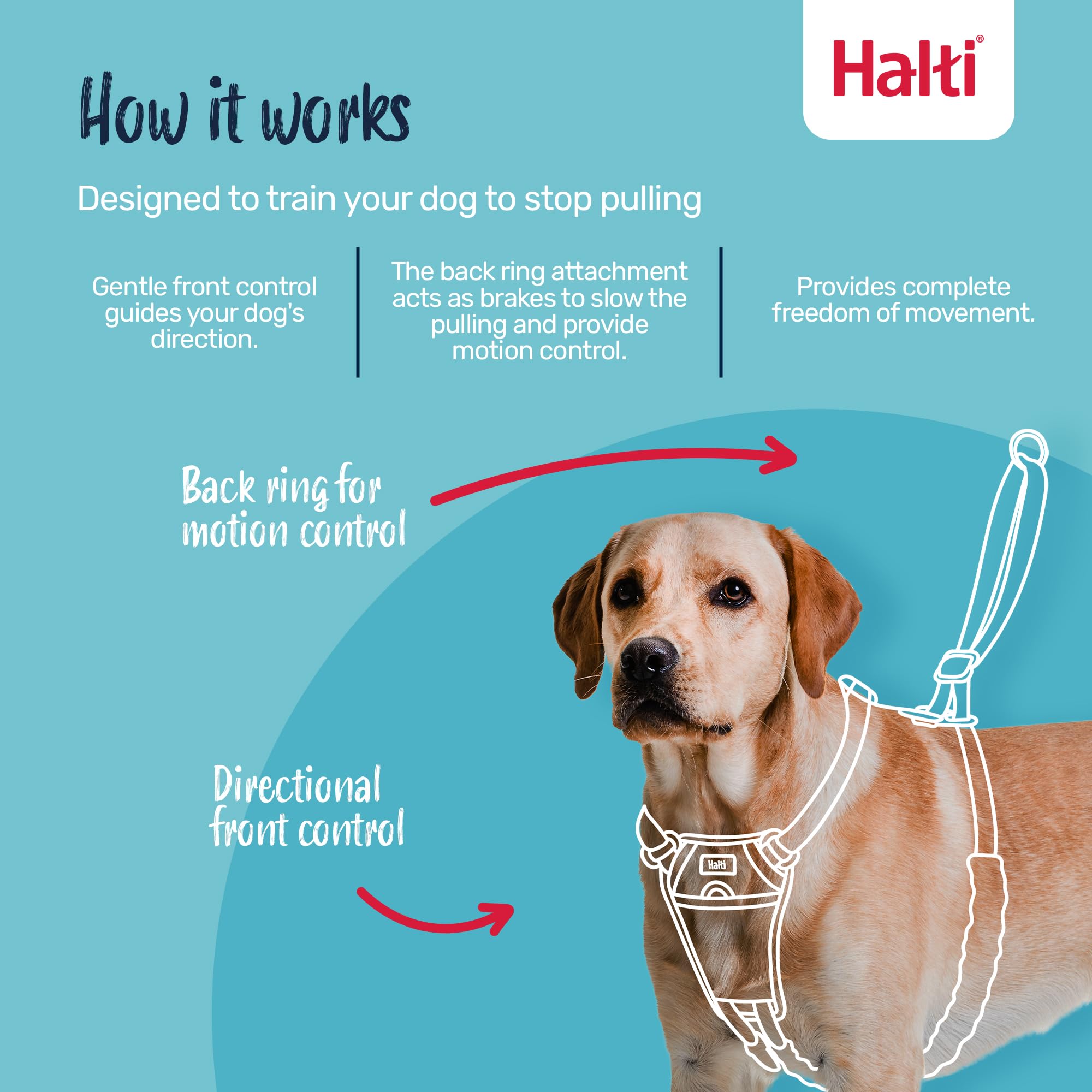 Halti No Pull Harness & Training Leash Set - Stops Pulling, Front Control Steering | Size Large, Black