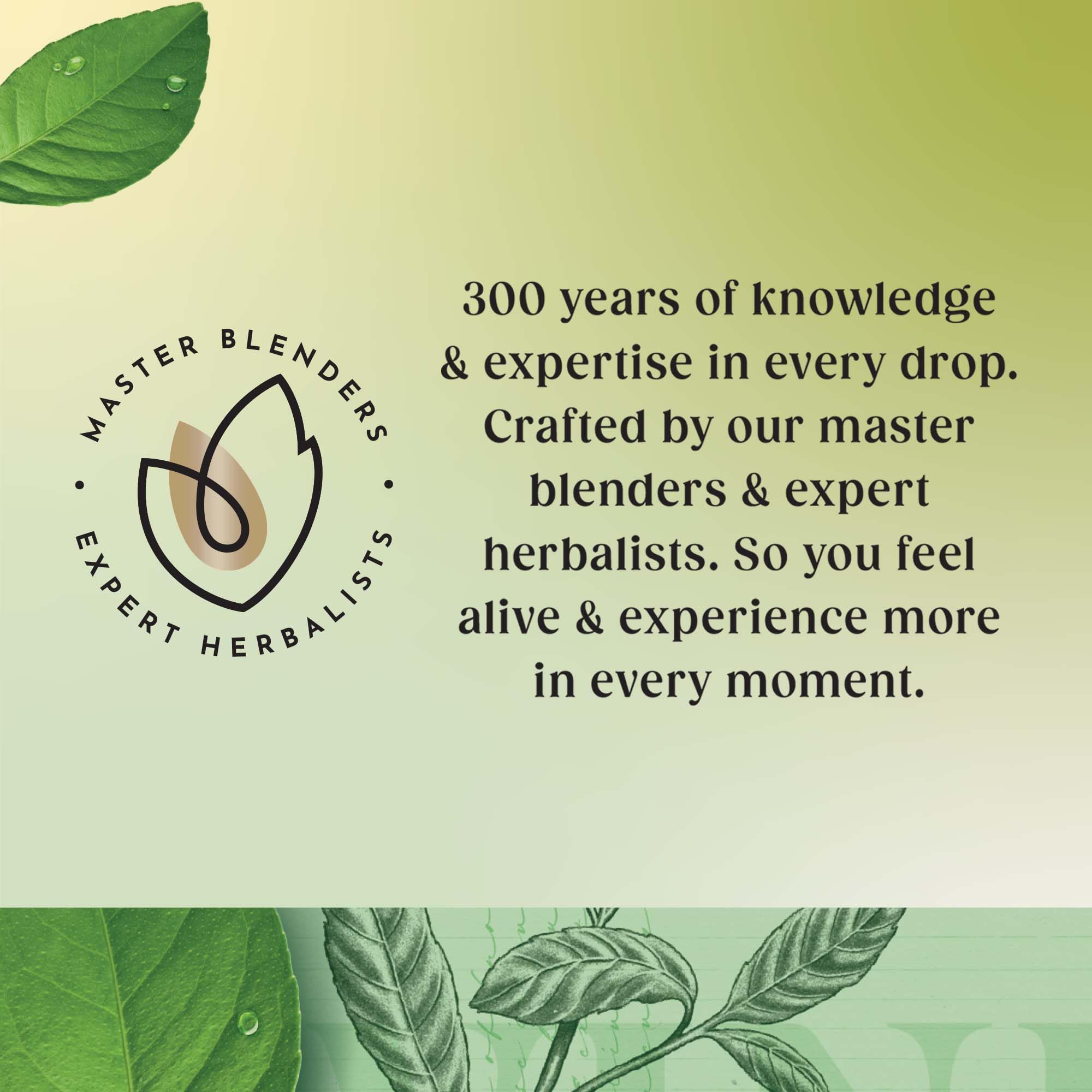 Twinings Decaf Pure Green Tea, Pack of 20 Tea Bags 8