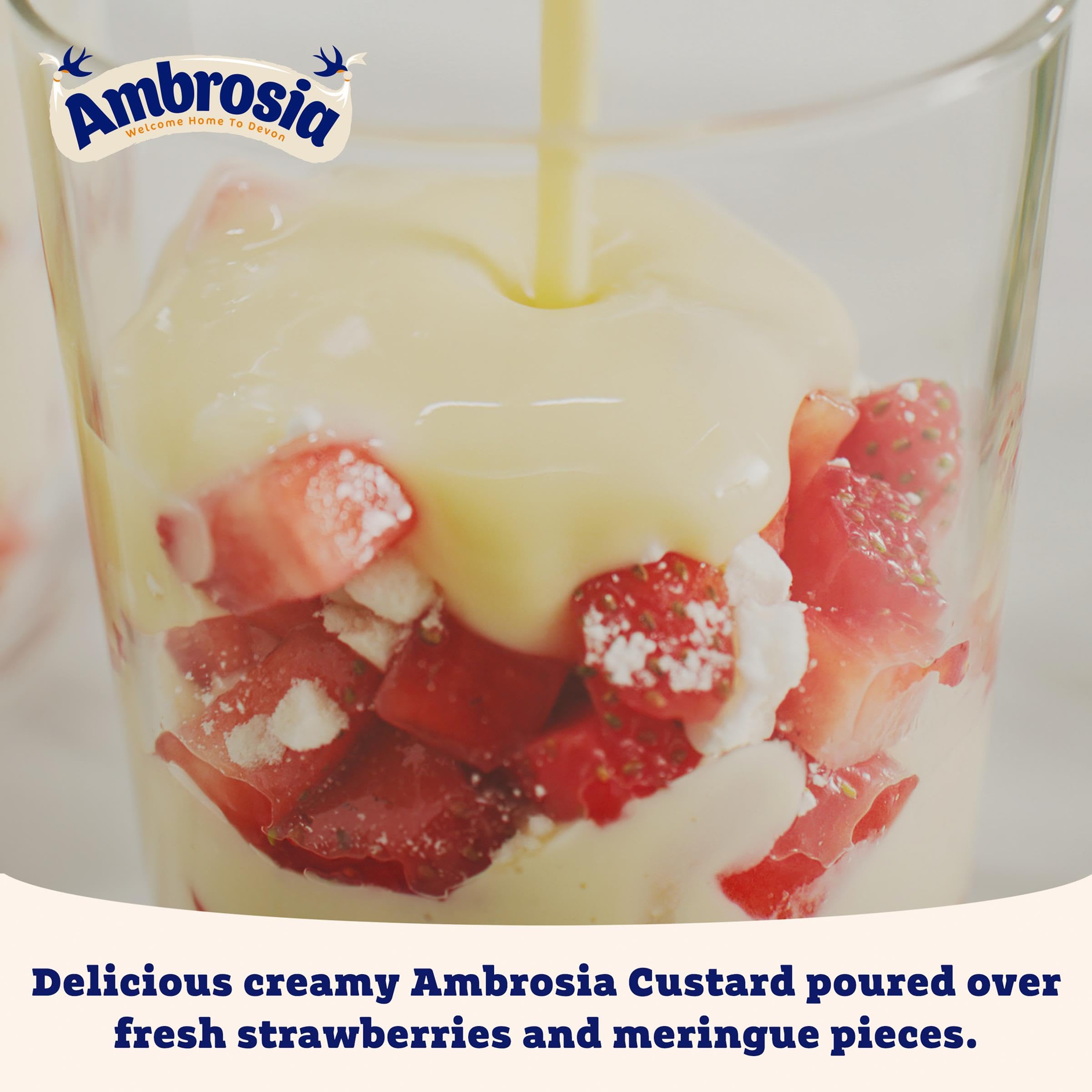 Ambrosia Light Devon Custard Pot - 30% Less Sugar & Fat | Ready to Eat | 150g 4