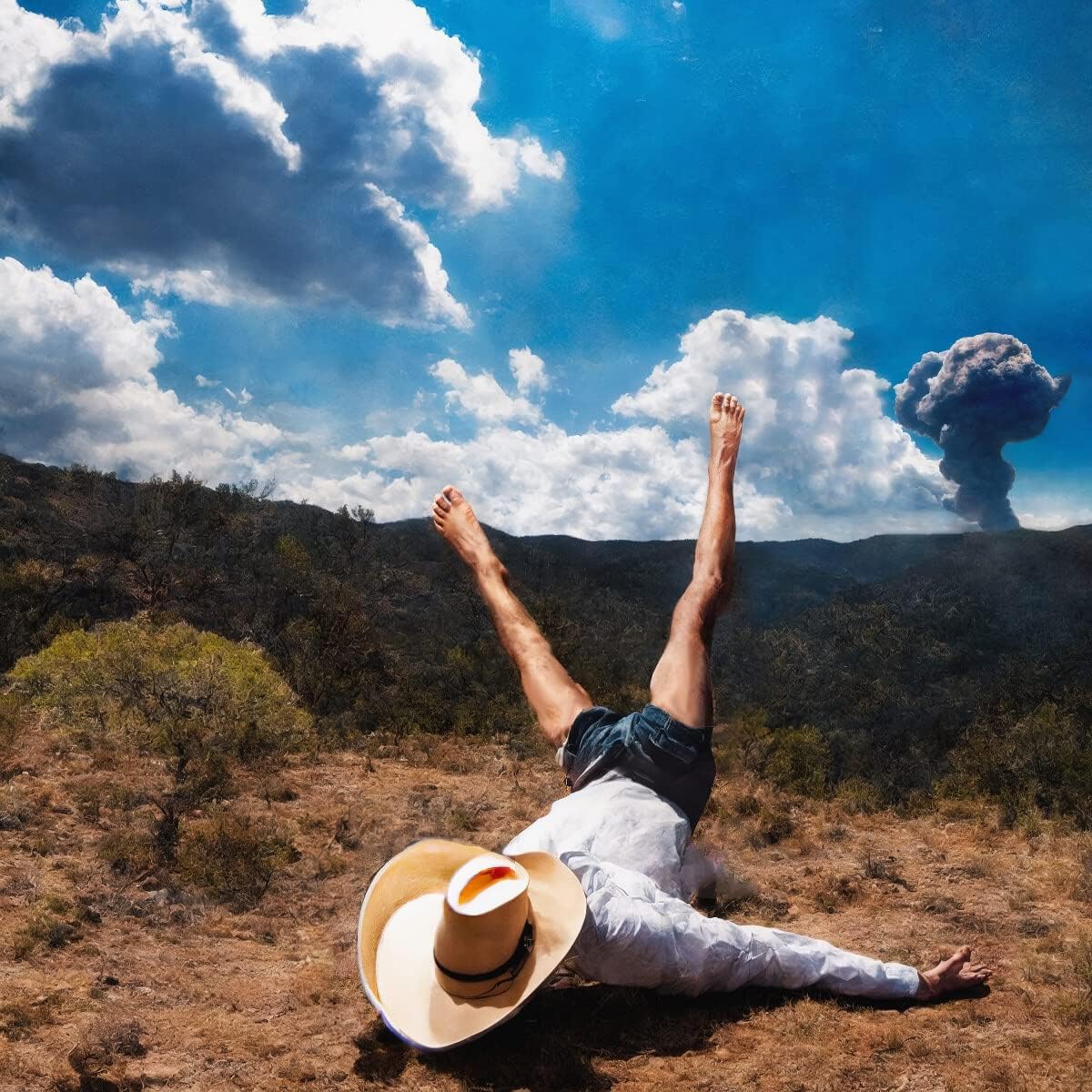 Geese - 3D Country Audio CD