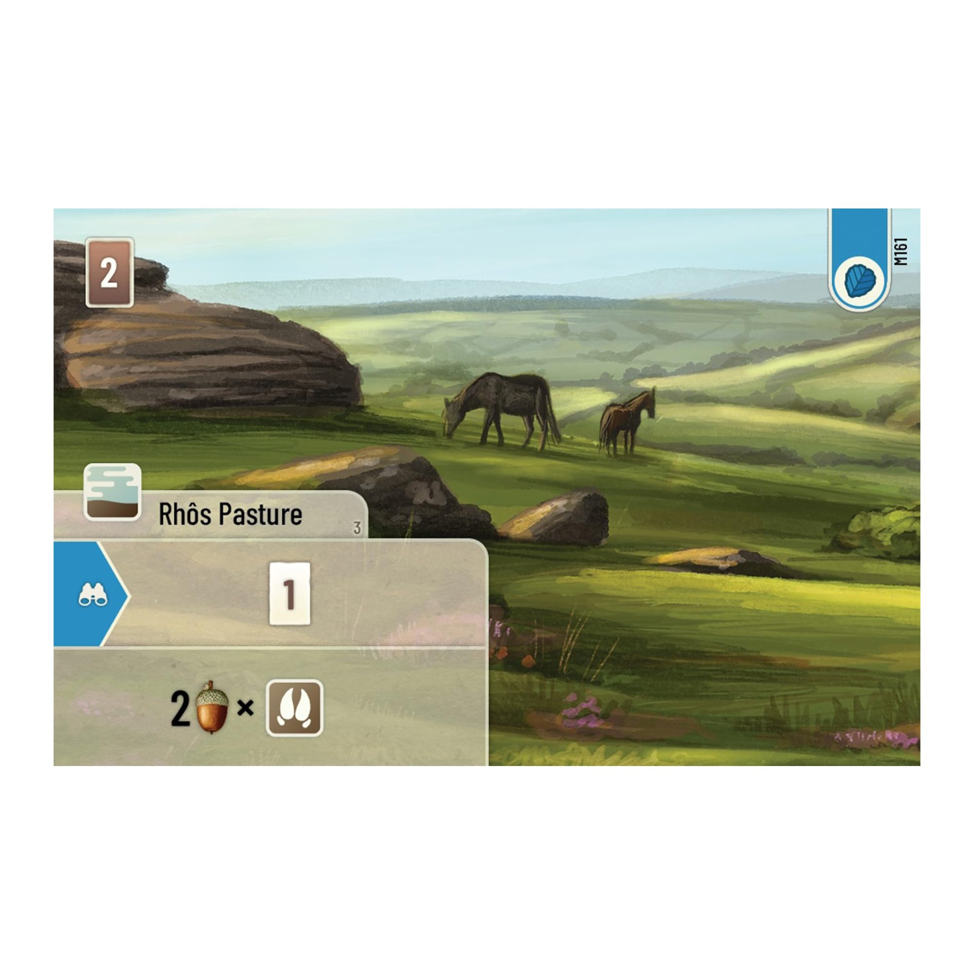 Asmodee Forest Shuffle: Dartmoor Family Card Game | Ages 10+ | 2-4 Players 7