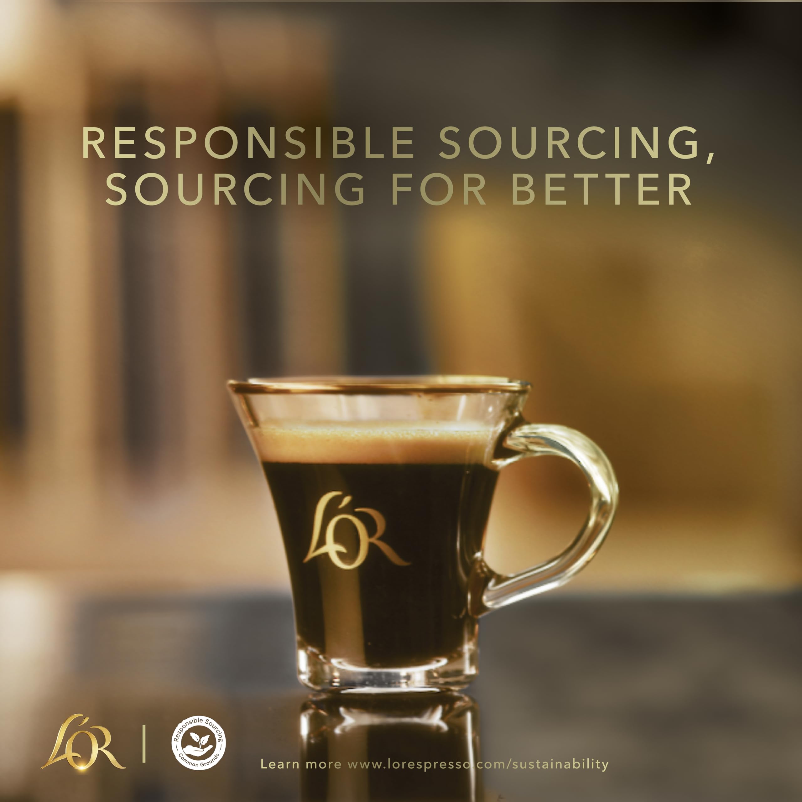 L'OR BARISTA Double Splendente XXL Aluminium Coffee Capsules (50 Pods) Intensity 7 for L'OR BARISTA Machines 5