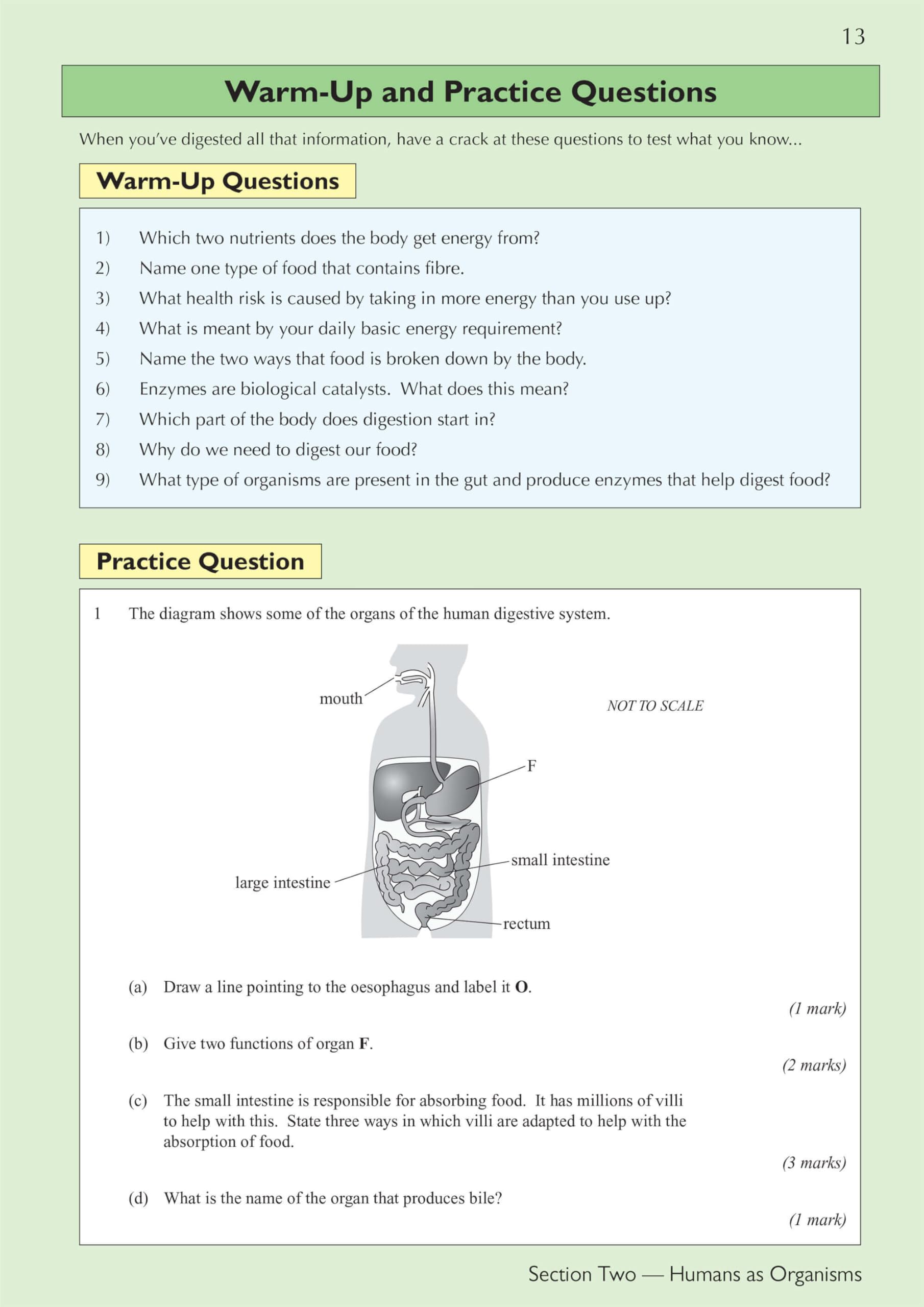 CGP KS3 Science Complete Study & Practice Guide - Higher Level | Paperback | 208 Pages 7