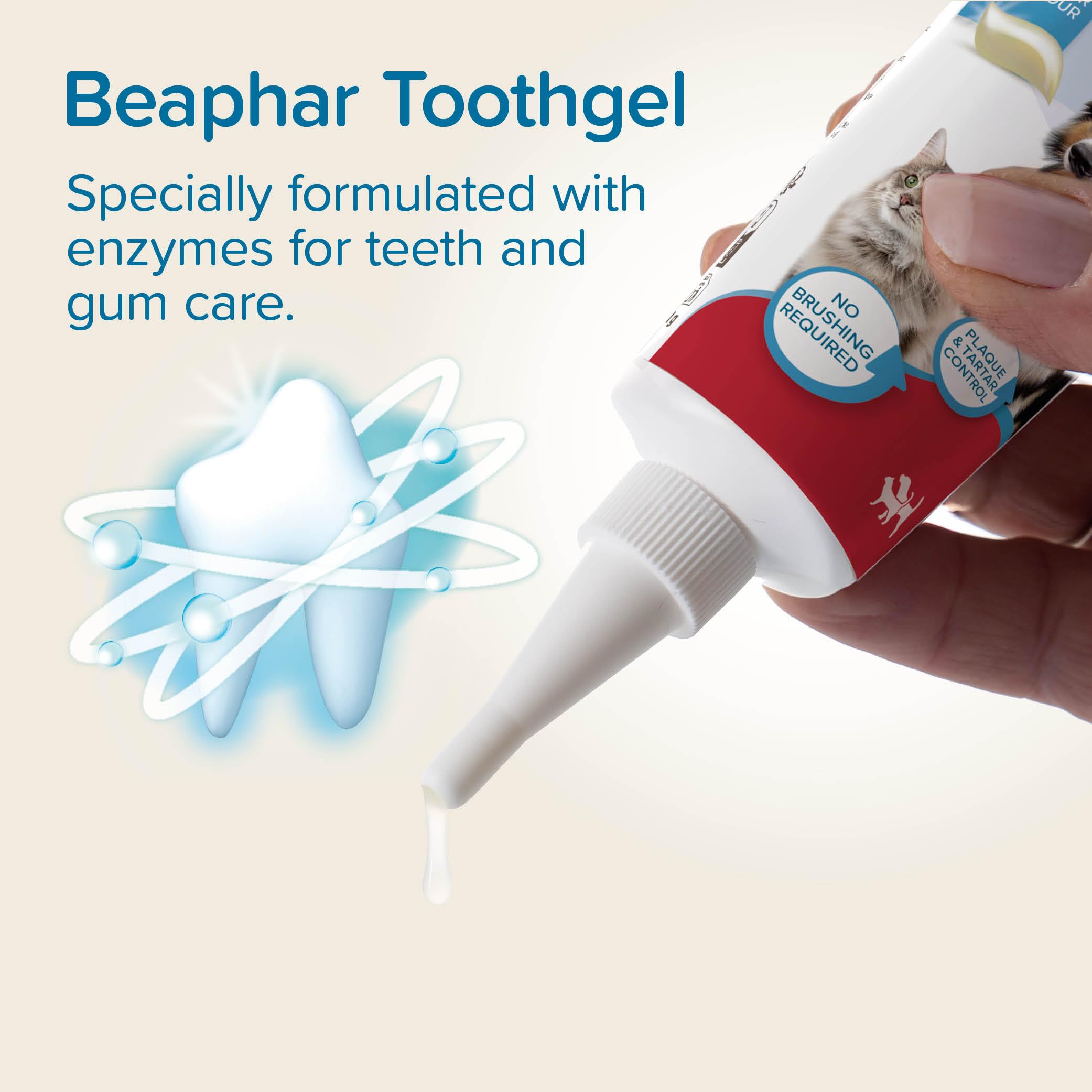 Beaphar No-Brush Toothgel with Enzymes - Dental Care for Cats & Dogs | Liver Flavor | 100g