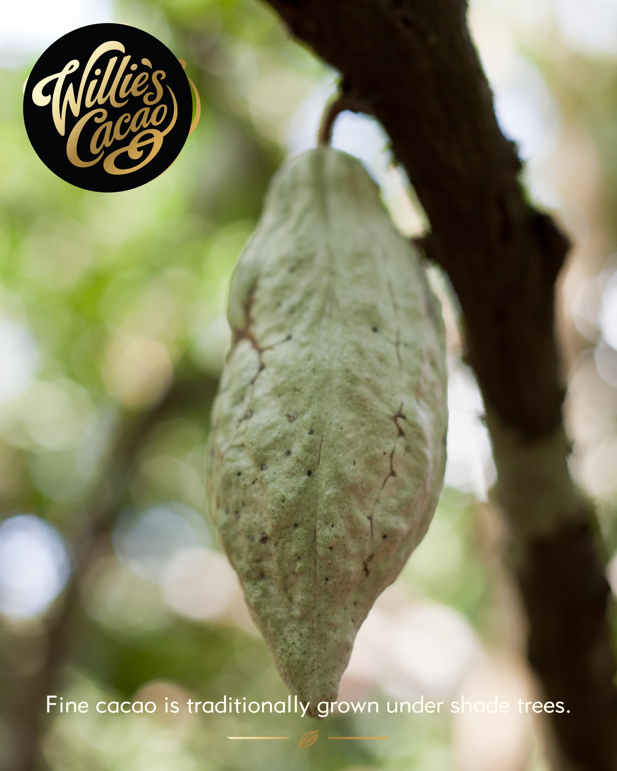 Willie's Cacao Bar - Milk of the Stars, Surabaya 54% Milk Chocolate - 50g 2