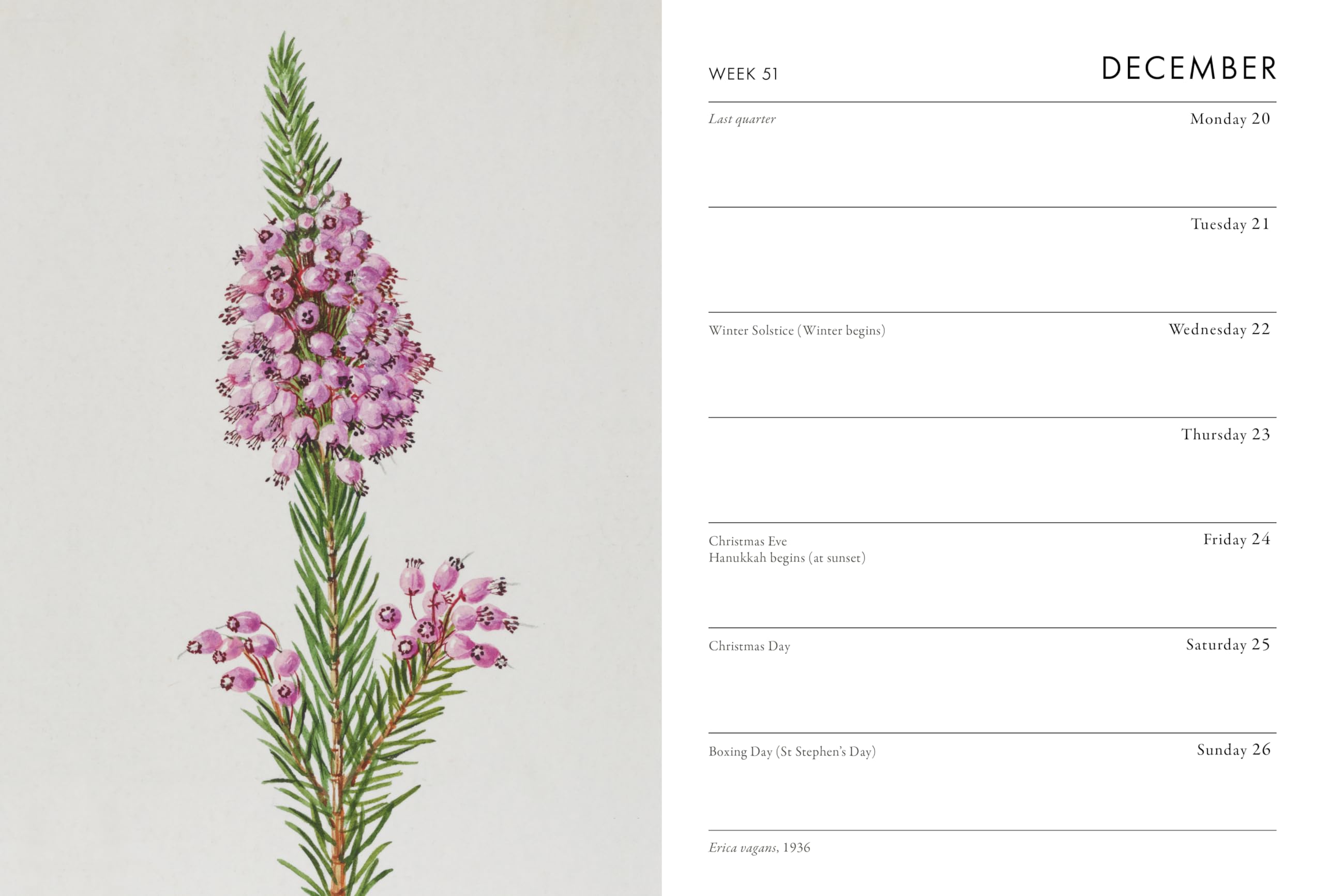Frances Lincoln RHS Pocket Diary 2027 - Week-to-View Layout | Botanical Art Illustrations 6