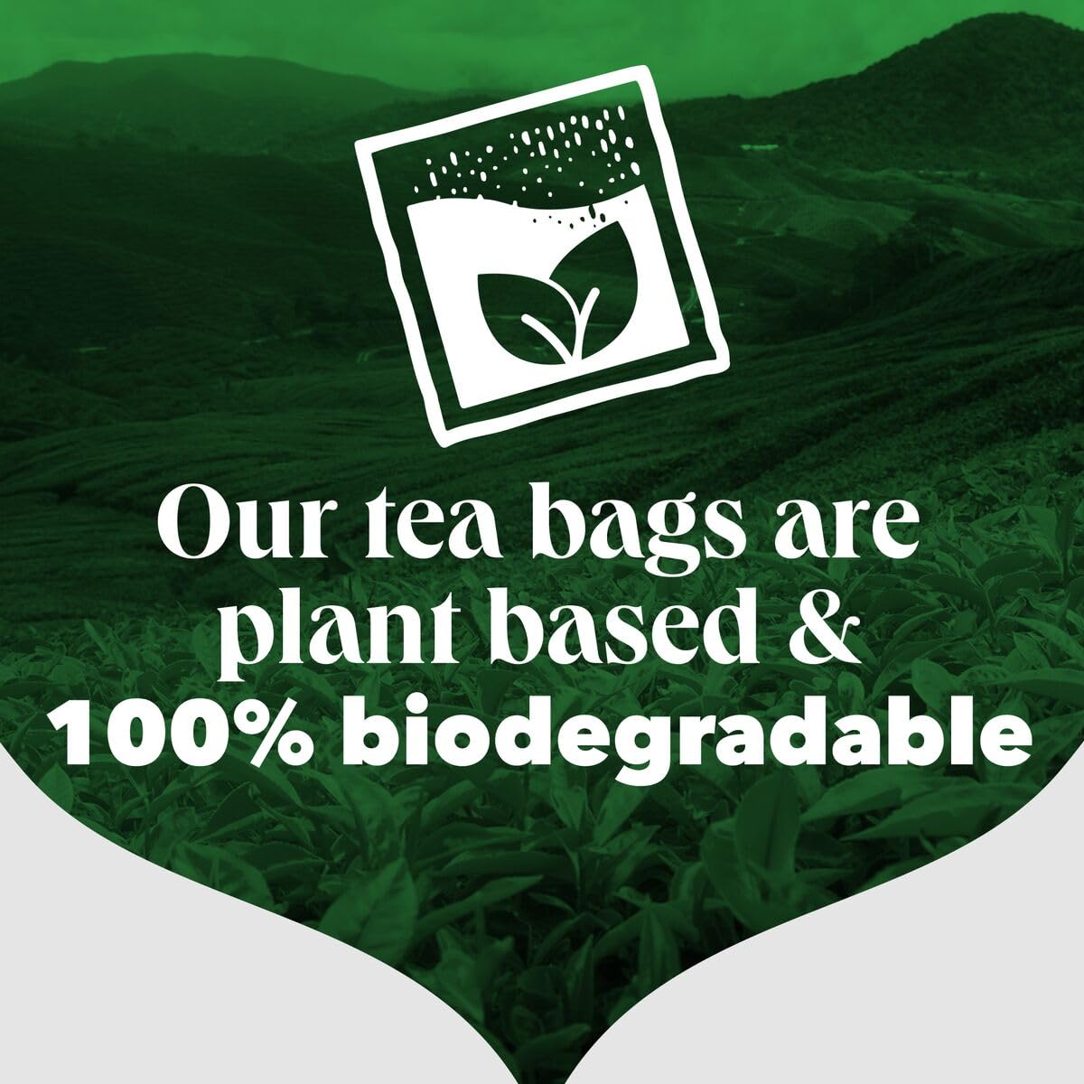 PG Tips - String and Tag One Cup Everyday Tea Bags (Pack of 100) 9