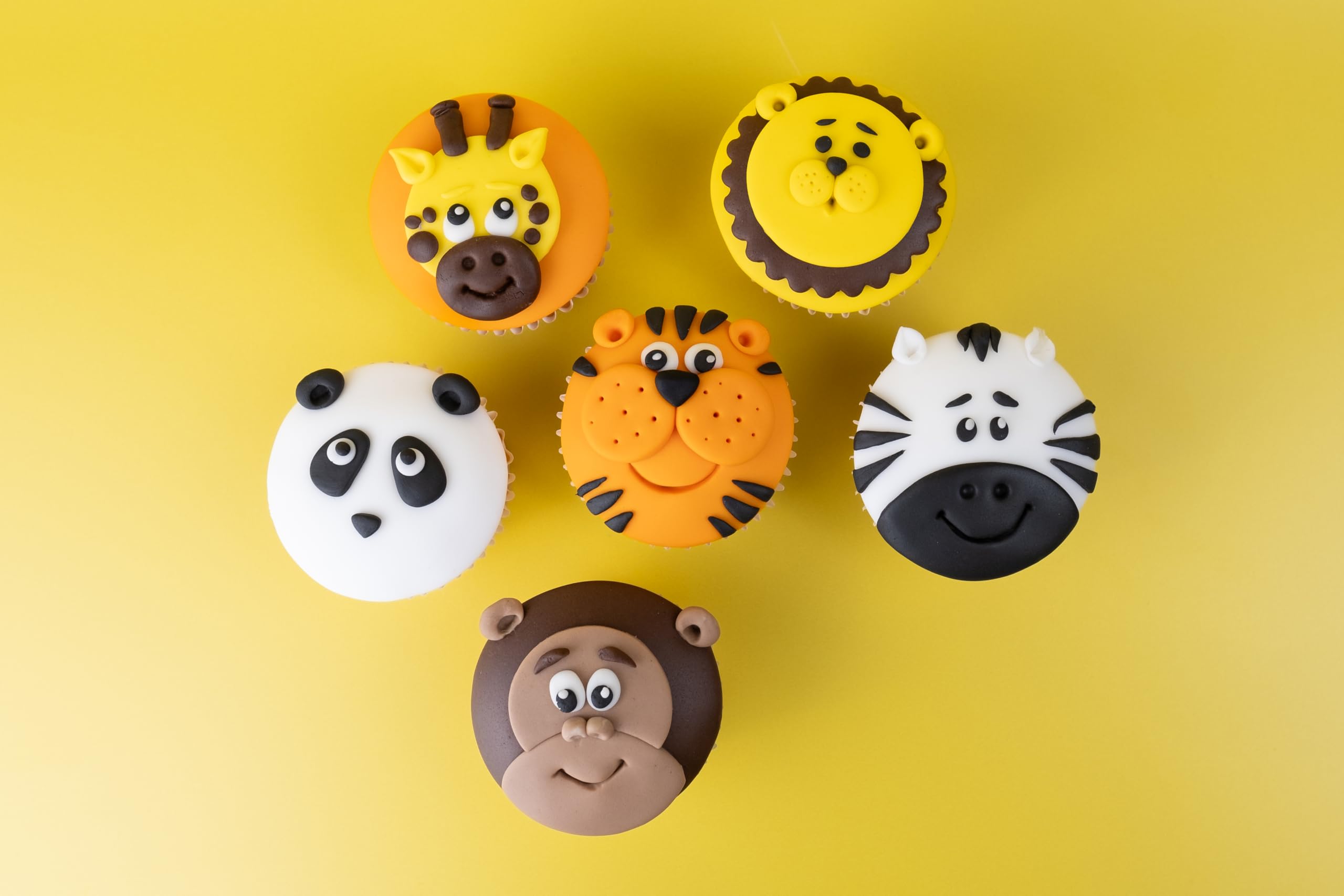 Renshaw Just Roll With It Fondant Icing Multipack, 5 x 100g 6