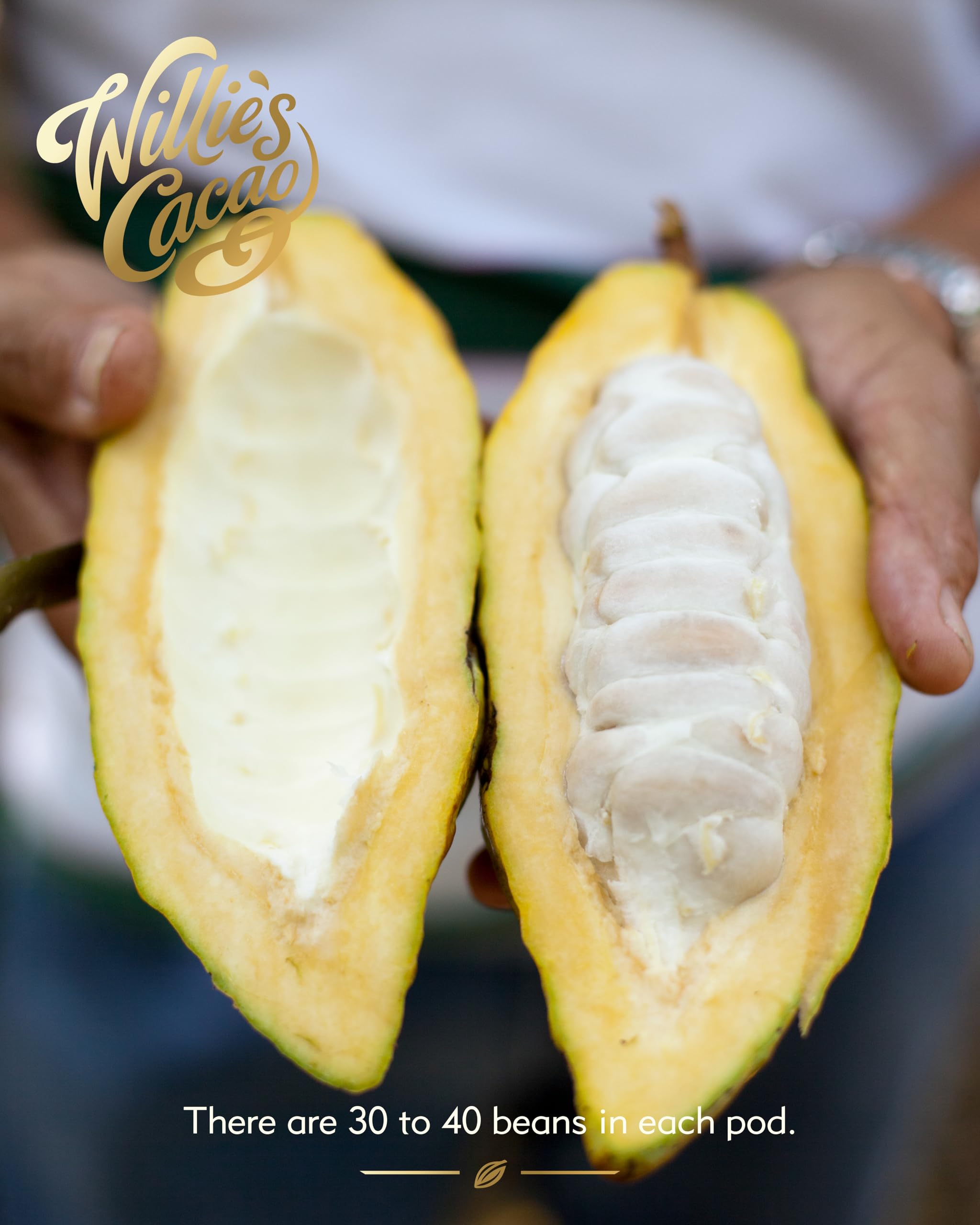 Willie's Cacao Bar - Sea Kissed Almond - Milk Chocolate with Roasted Almonds and Cornish Salt - 50g 2