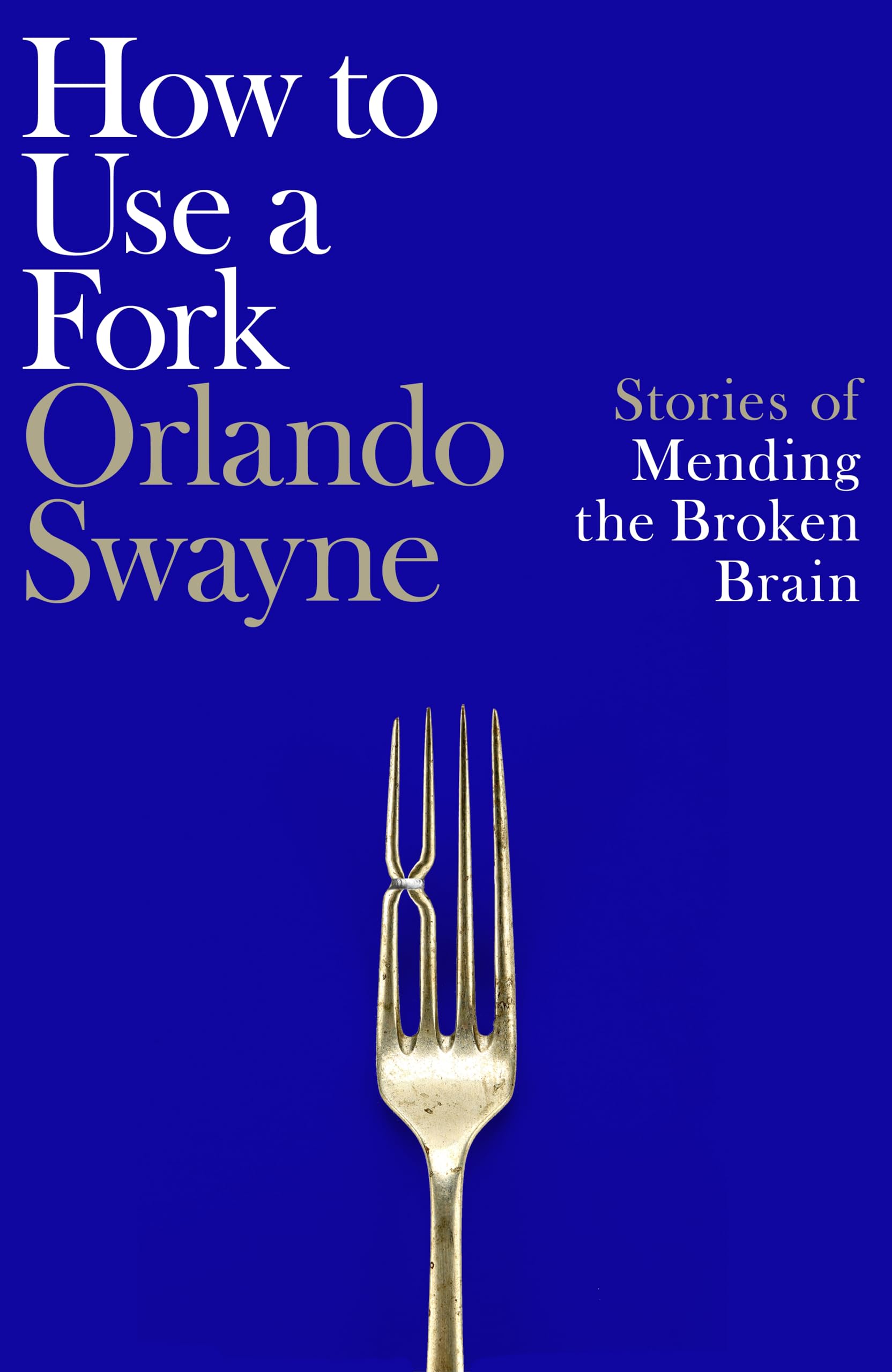 Dr Orlando Swayne - How to Use a Fork | Neurology Hardcover 1