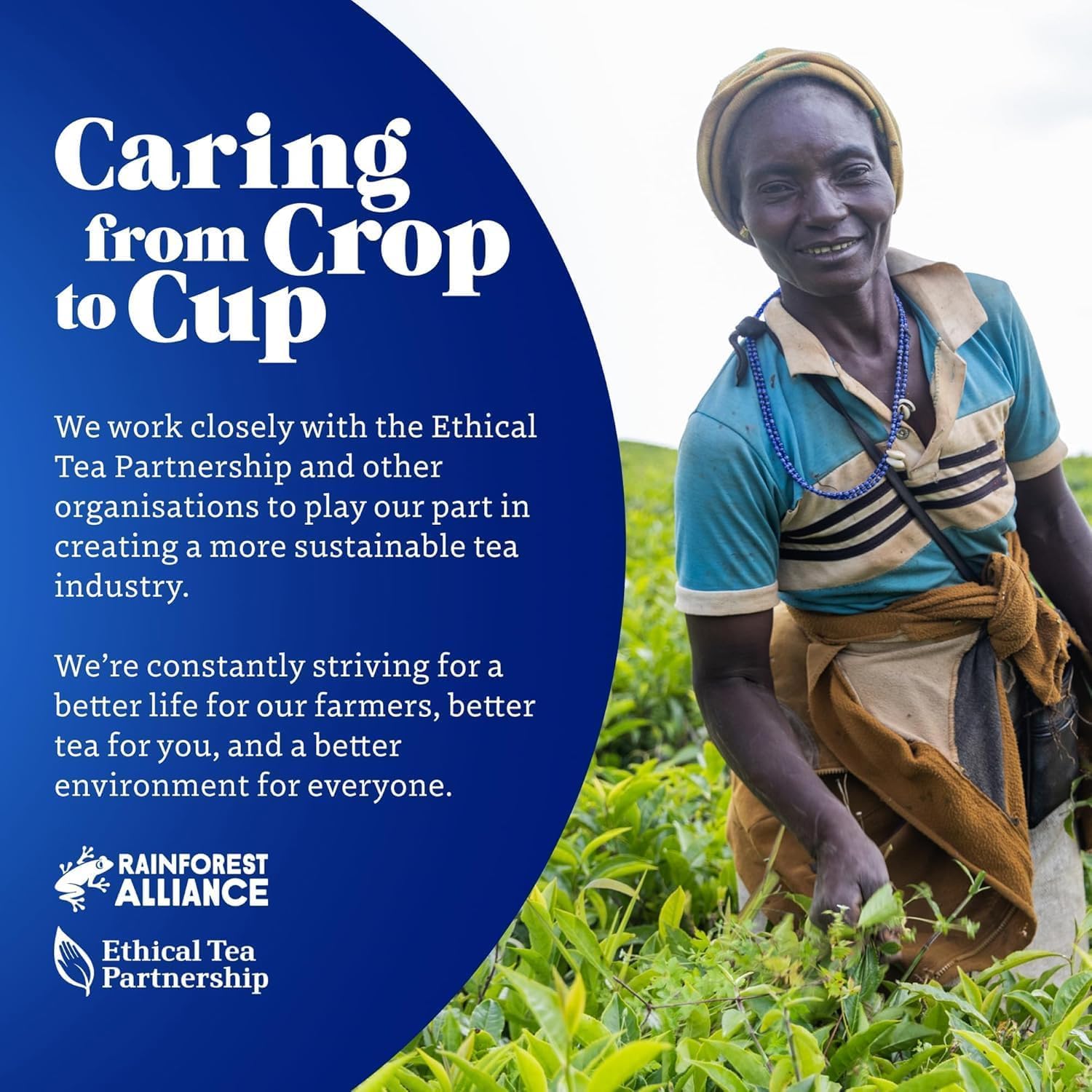 Tetley - Pure Camomile Tea 20 Teabags, Naturally Caffeine-Free Herbal Infusion 5