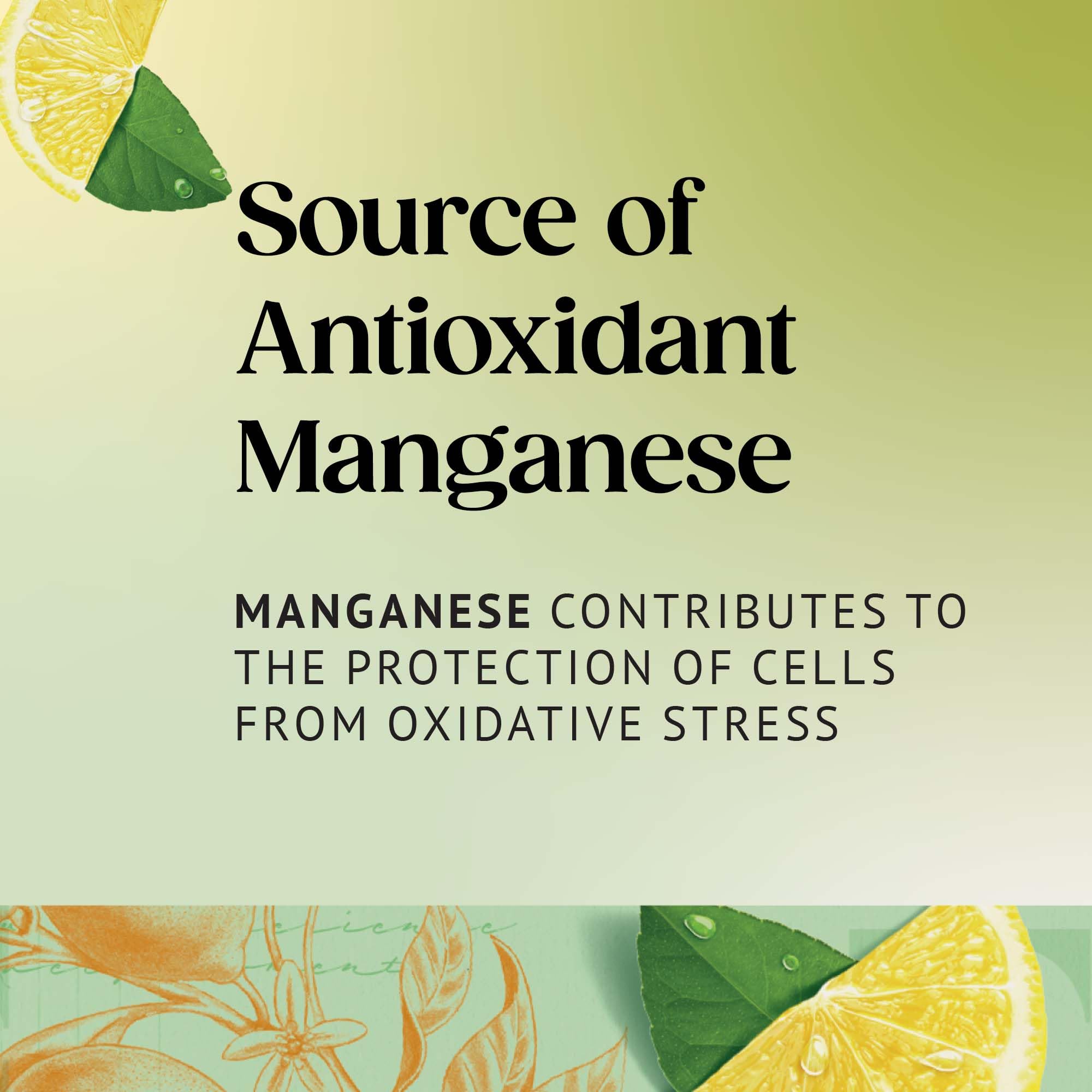 Twinings Green Tea with Lemon 320 Tea Bags (Multipack of 4 x 80 Bags) 4